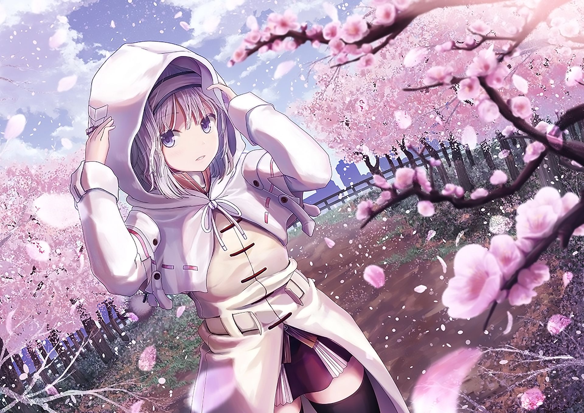 Free download wallpaper Anime, Hoodie, Dress, Cherry Blossom, Original, White Hair on your PC desktop