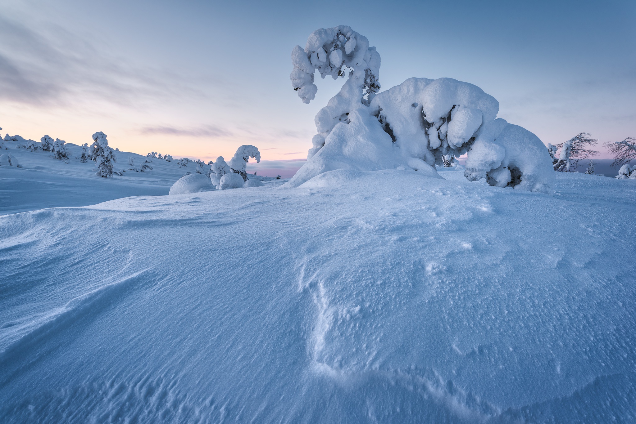 Descarga gratis la imagen Invierno, Naturaleza, Nieve, Tierra/naturaleza en el escritorio de tu PC