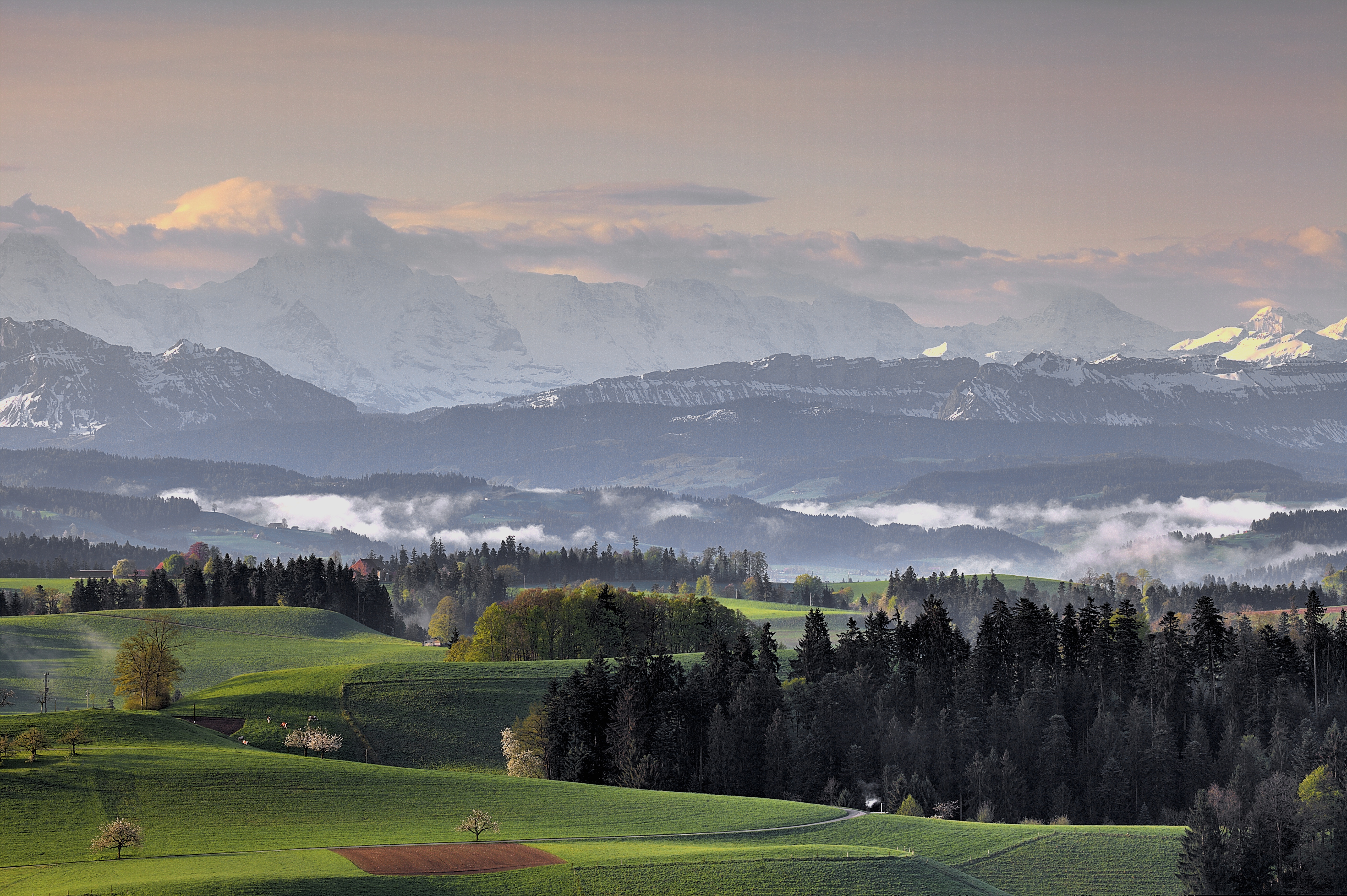 Скачать картинку Пейзаж, Альпы, Швейцария, Древесина, Земля/природа в телефон бесплатно.