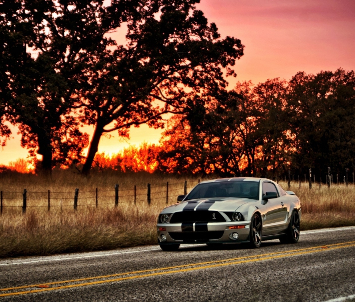 Download mobile wallpaper Ford, Ford Mustang Shelby Gt500, Vehicles for free.