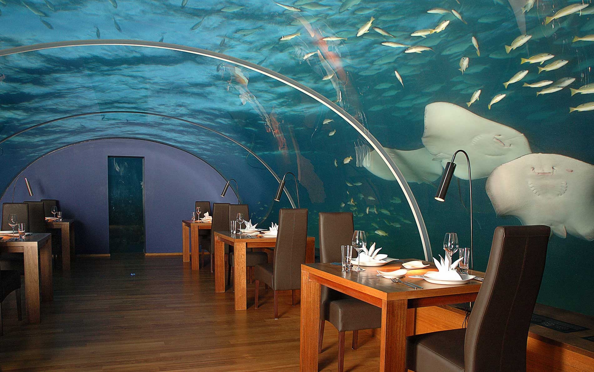 underwater restaurant, tropics, miscellanea, miscellaneous, maldives