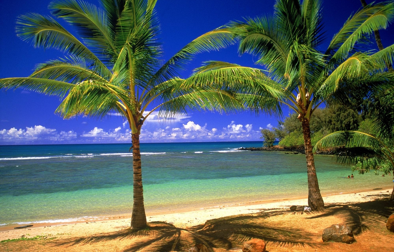 Скачать обои бесплатно Пляж, Пальмы, Море, Пейзаж картинка на рабочий стол ПК