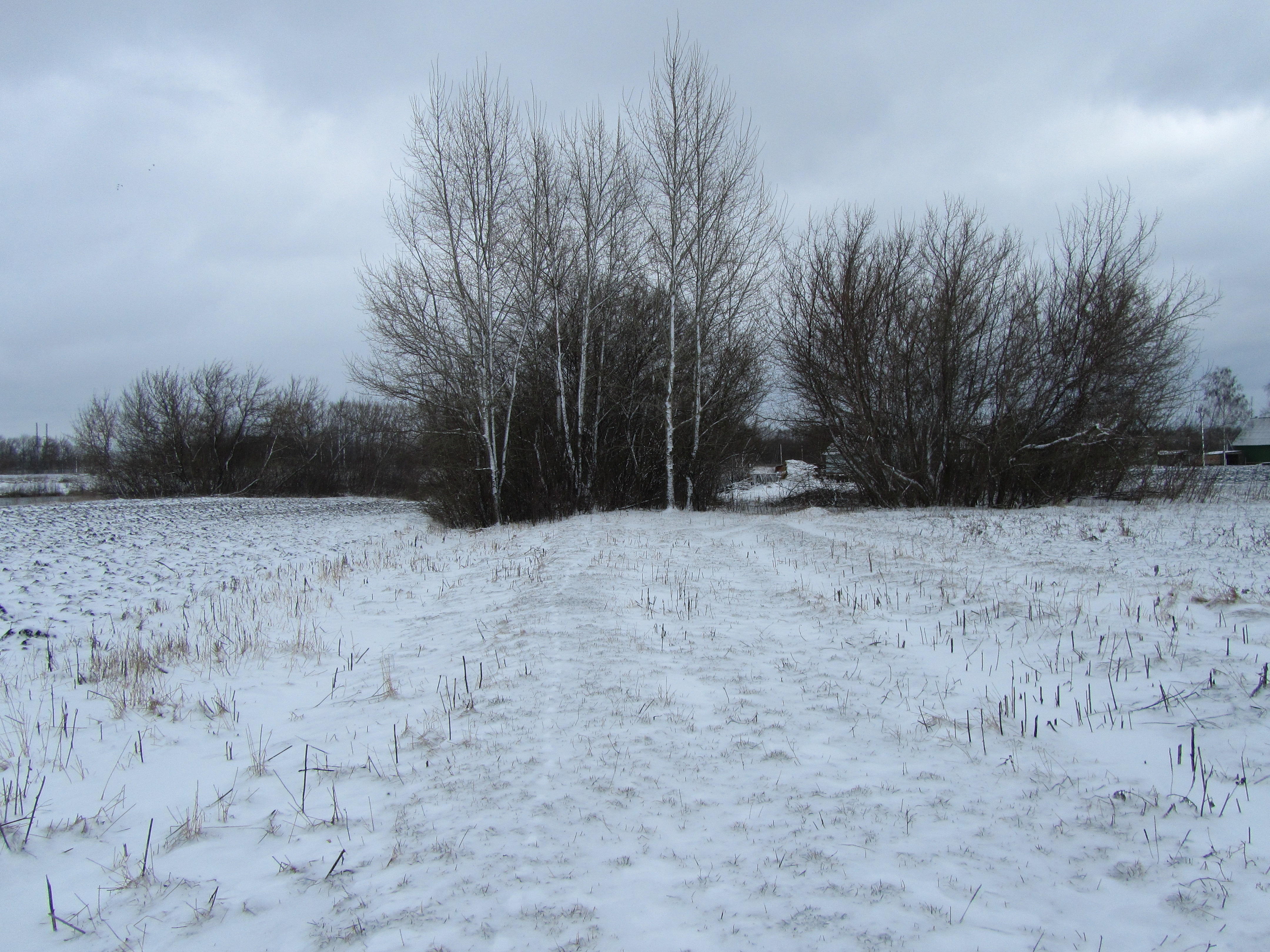 Handy-Wallpaper Winter, Erde/natur kostenlos herunterladen.