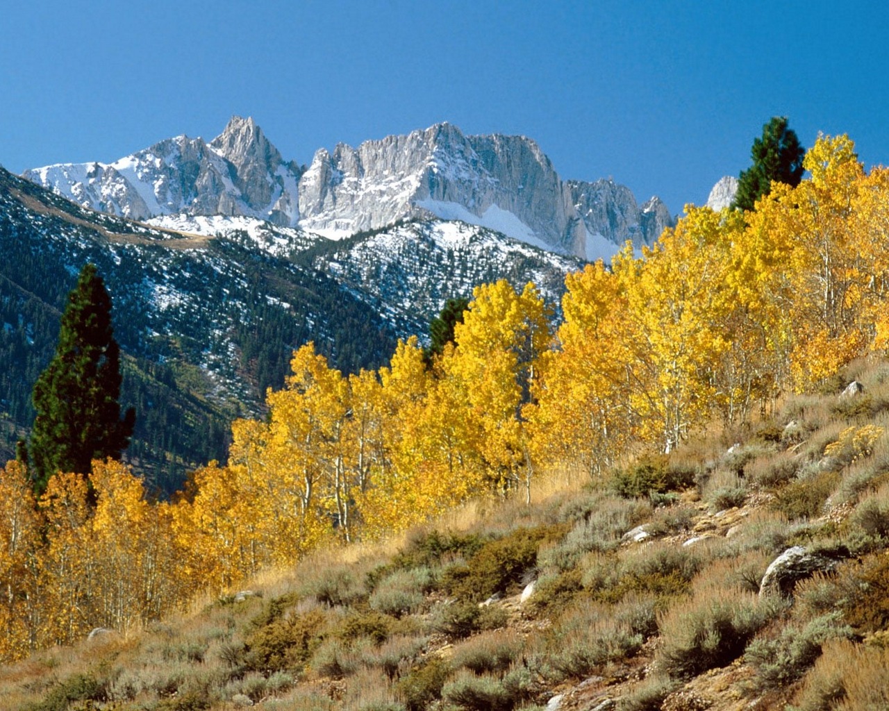 Descarga gratuita de fondo de pantalla para móvil de Montaña, Tierra/naturaleza.