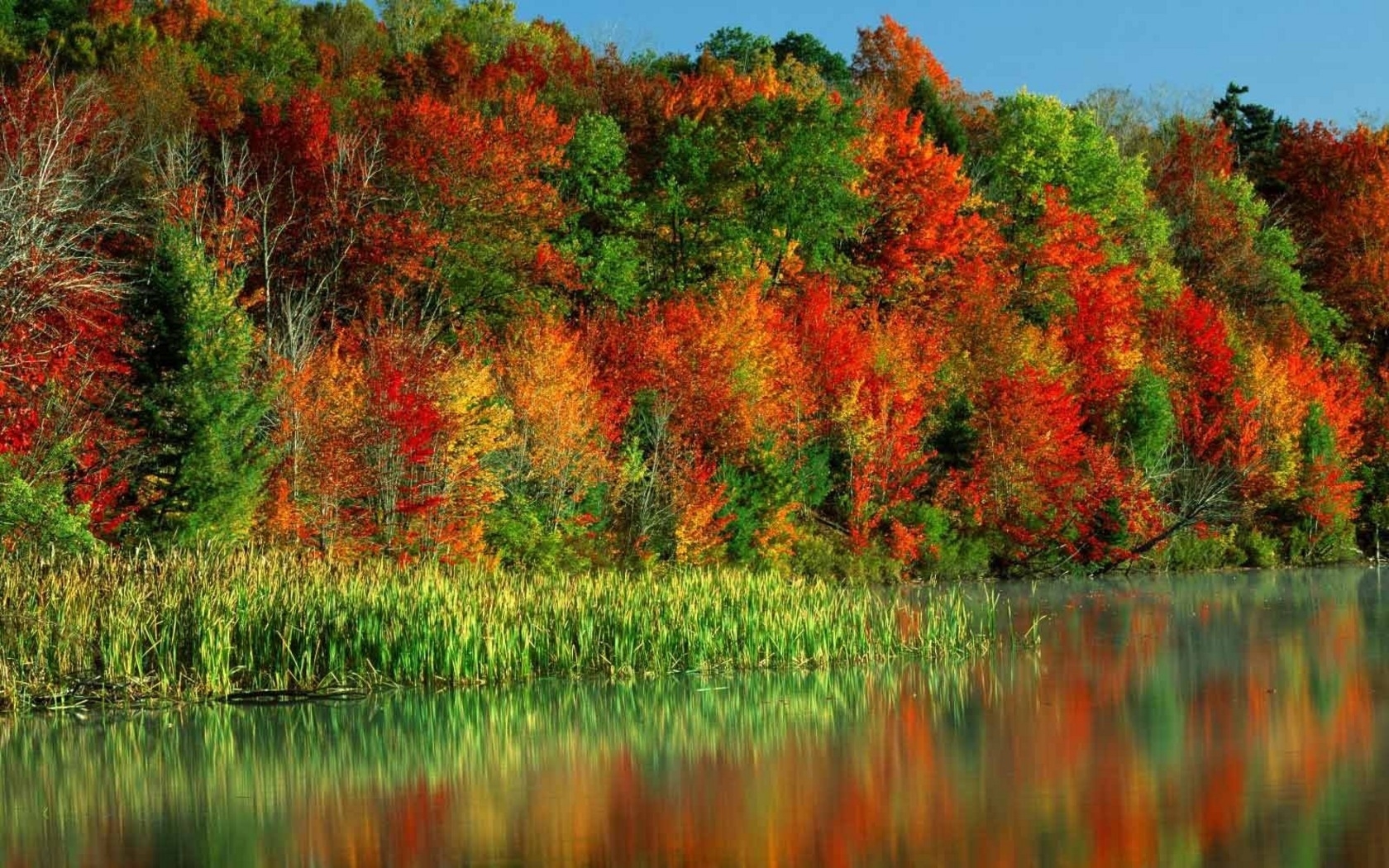 Скачать обои бесплатно Деревья, Река, Пейзаж, Осень картинка на рабочий стол ПК