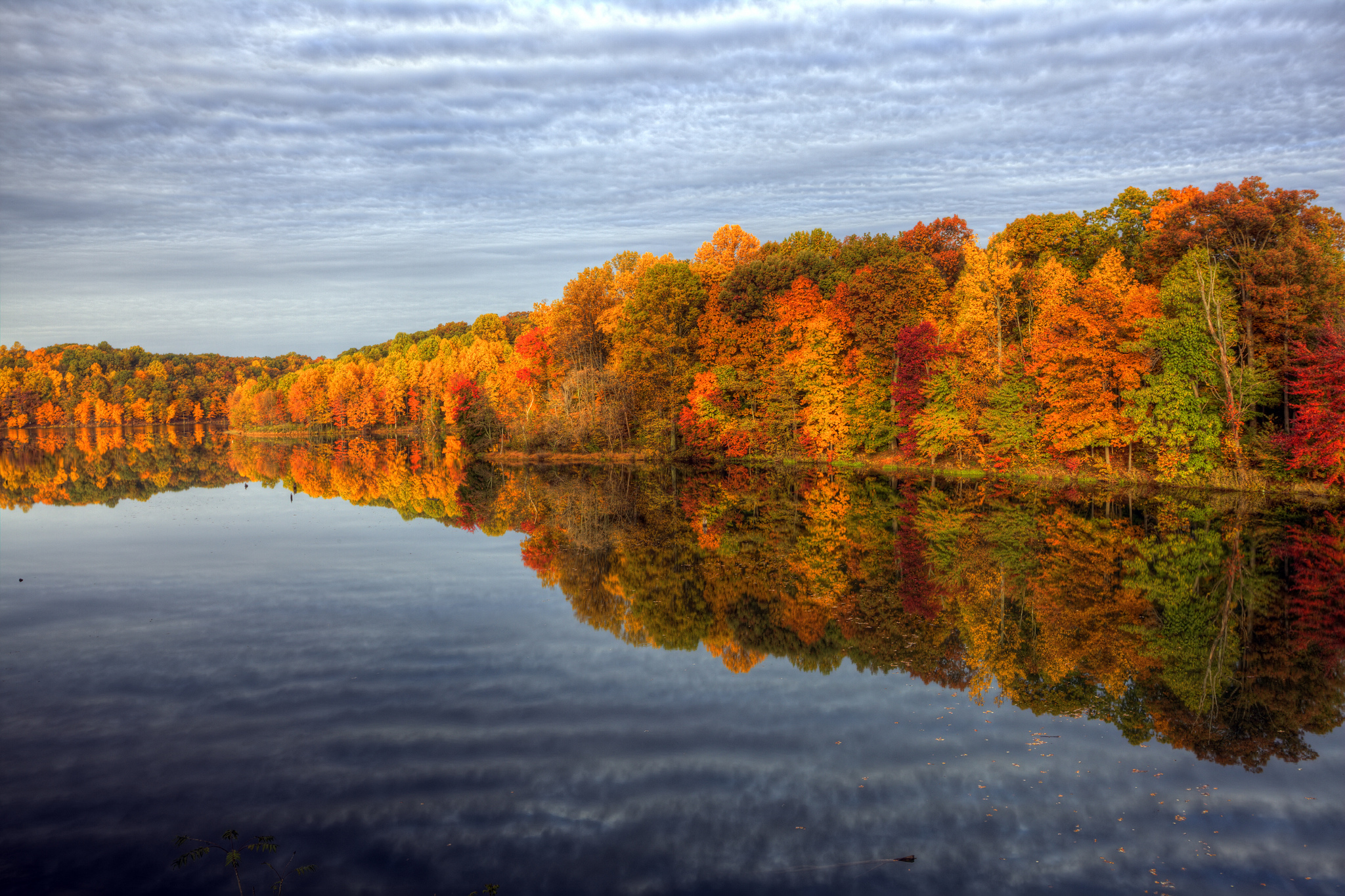 Free download wallpaper Reflection, Forest, Fall, Earth, Cloud on your PC desktop