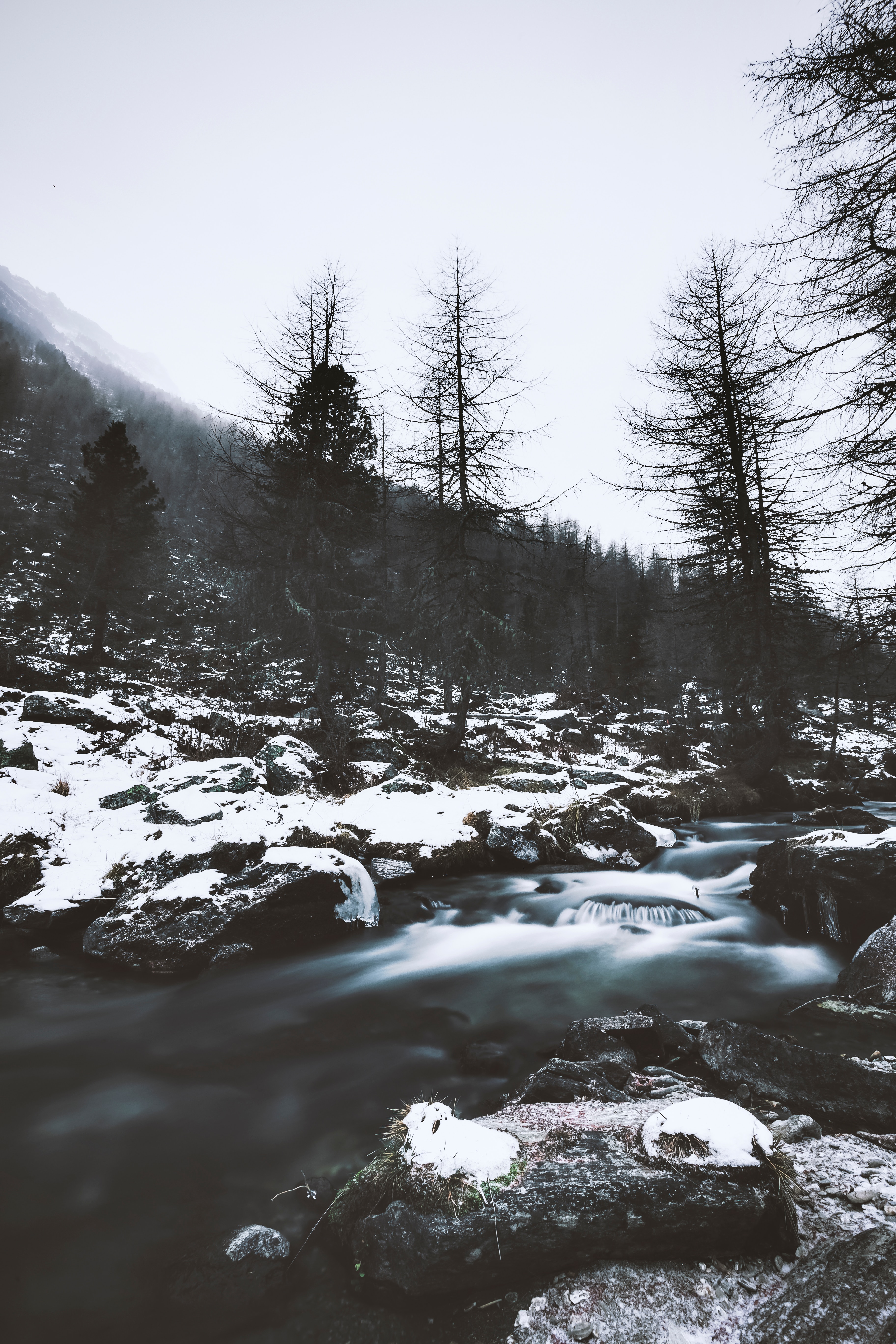 Download mobile wallpaper Snow, Stones, Nature, Rivers, Trees for free.