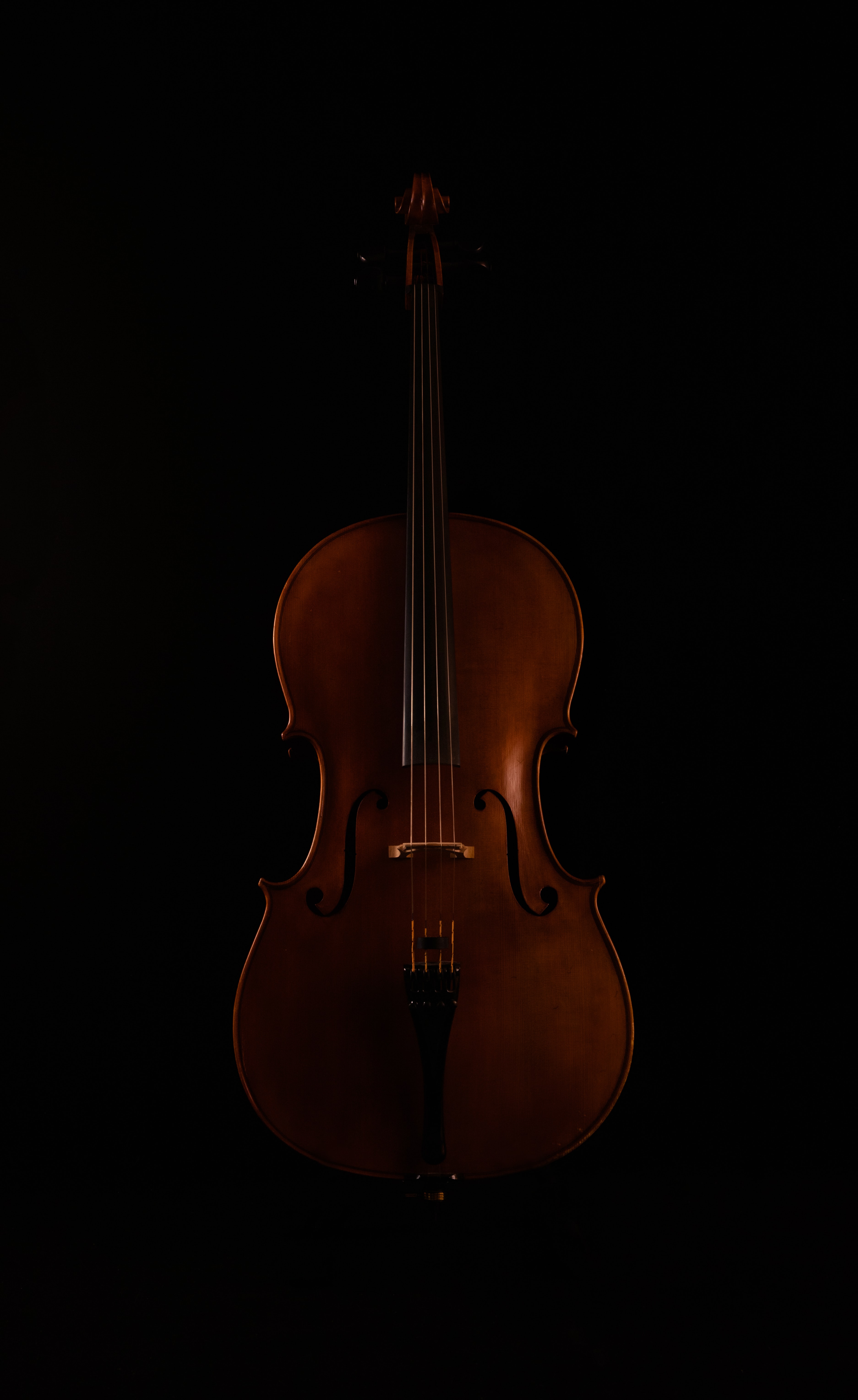136117 завантажити шпалери скрипка, музика, темний, музичний інструмент - заставки і картинки безкоштовно