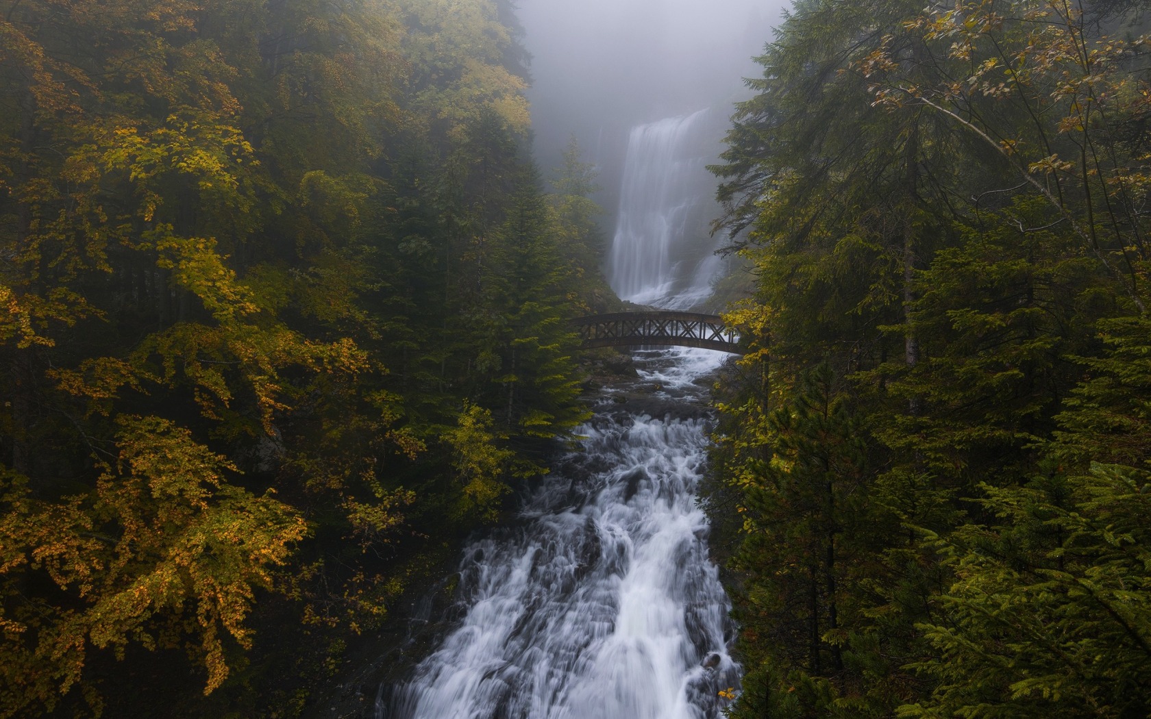 Free download wallpaper Waterfalls, Waterfall, Forest, Fog, Earth on your PC desktop
