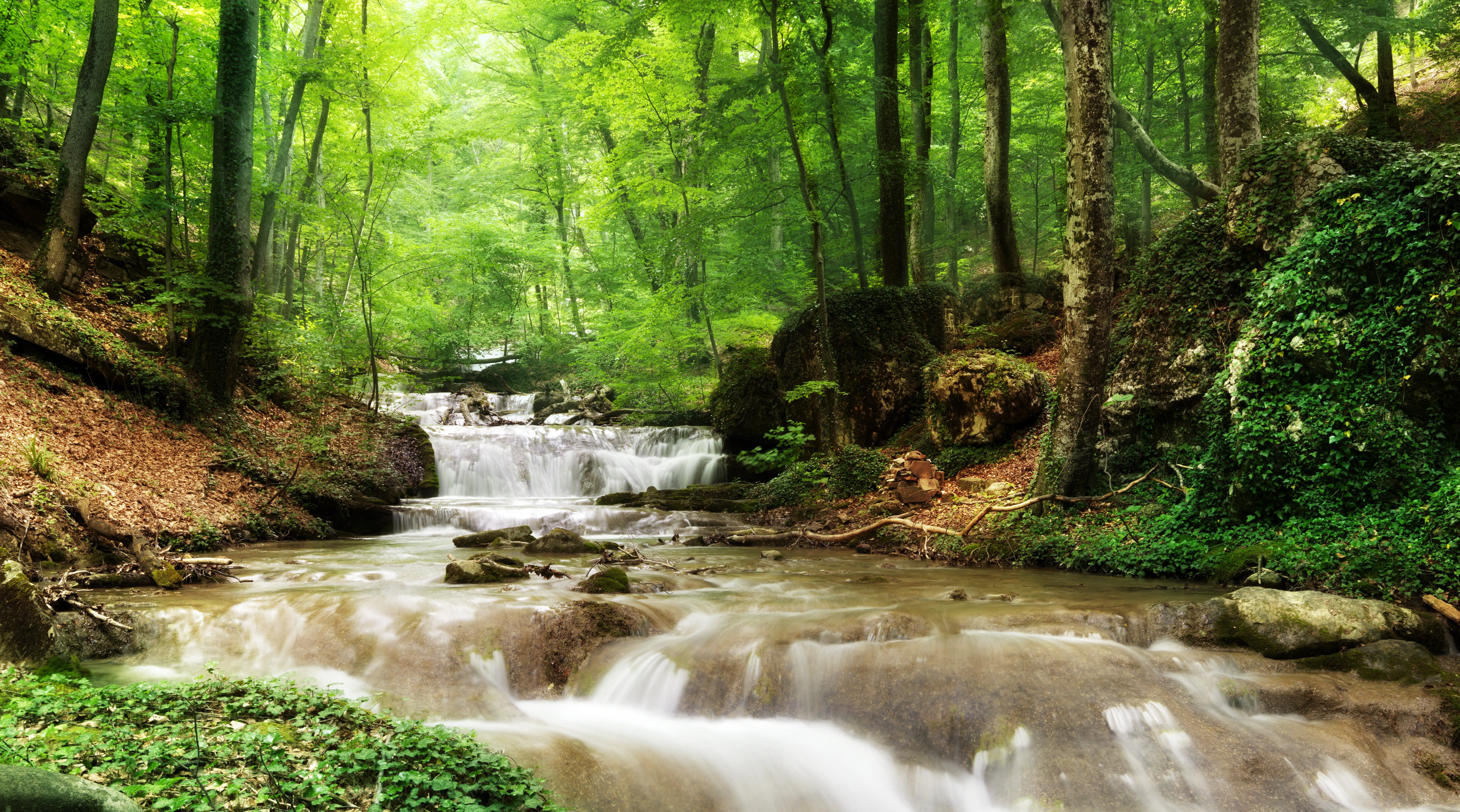 Download mobile wallpaper Nature, Forest, Earth, Stream, Greenery for free.