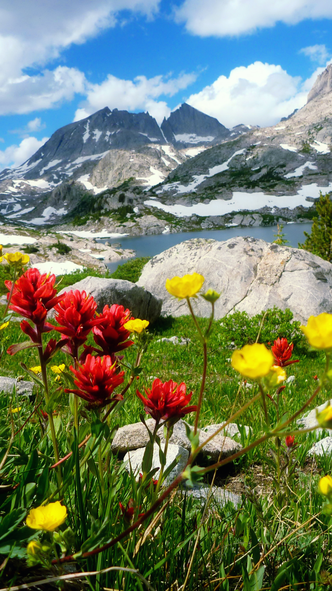 Download mobile wallpaper Landscape, Mountain, Flower, Earth for free.