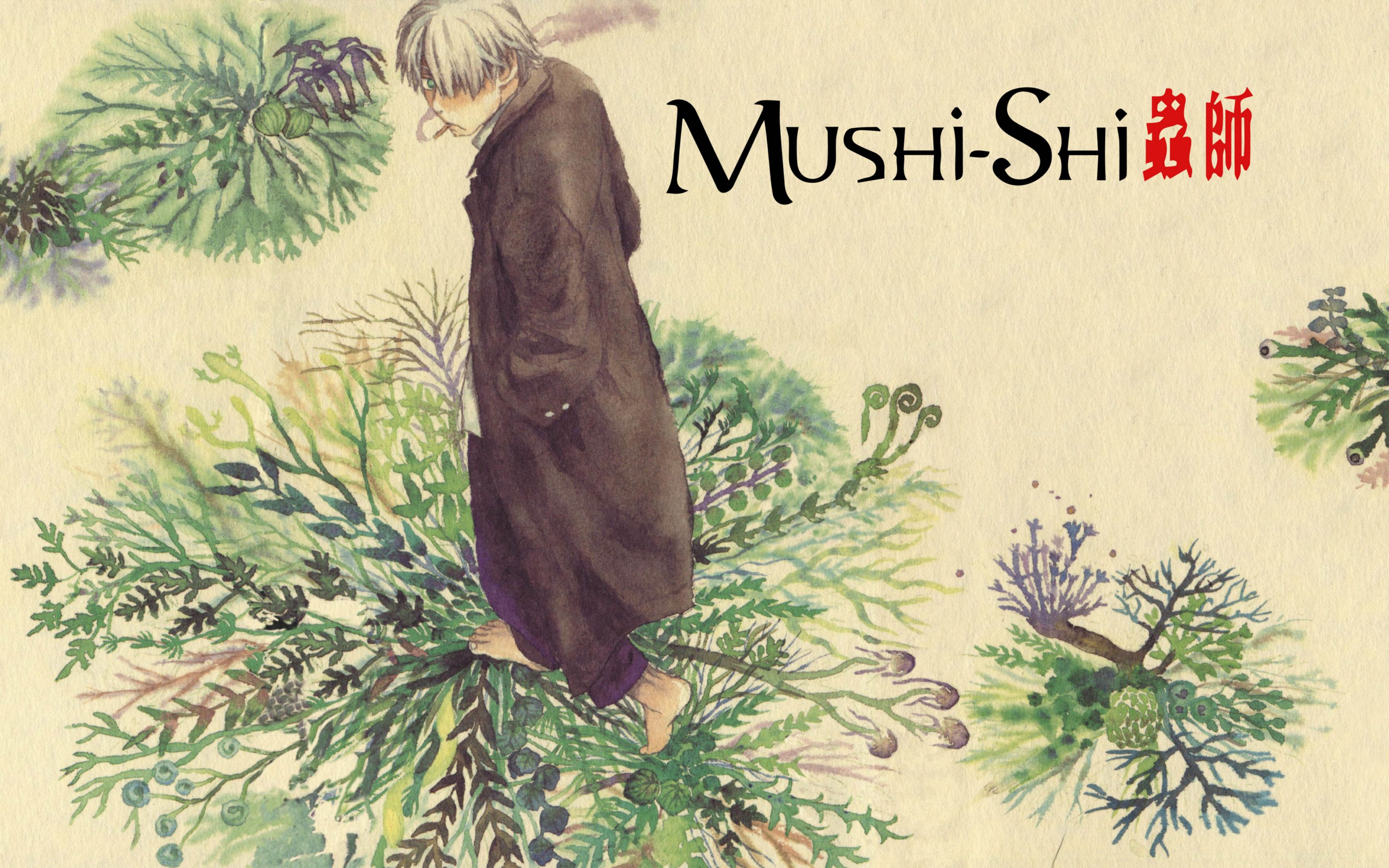 Handy-Wallpaper Animes, Ginko (Mushishi), Musisch kostenlos herunterladen.