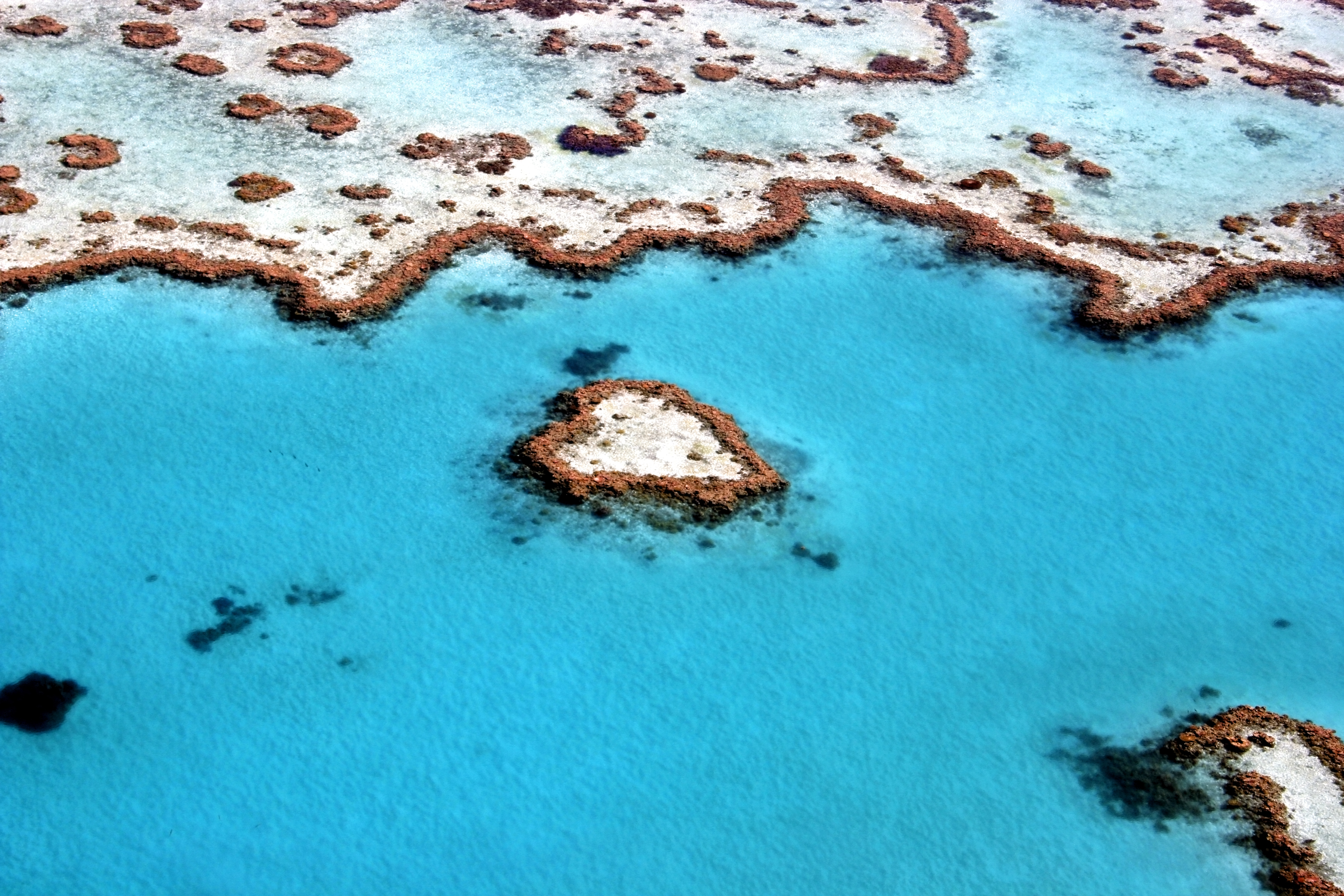 603905 Bild herunterladen erde/natur, great barrier reef, riff - Hintergrundbilder und Bildschirmschoner kostenlos