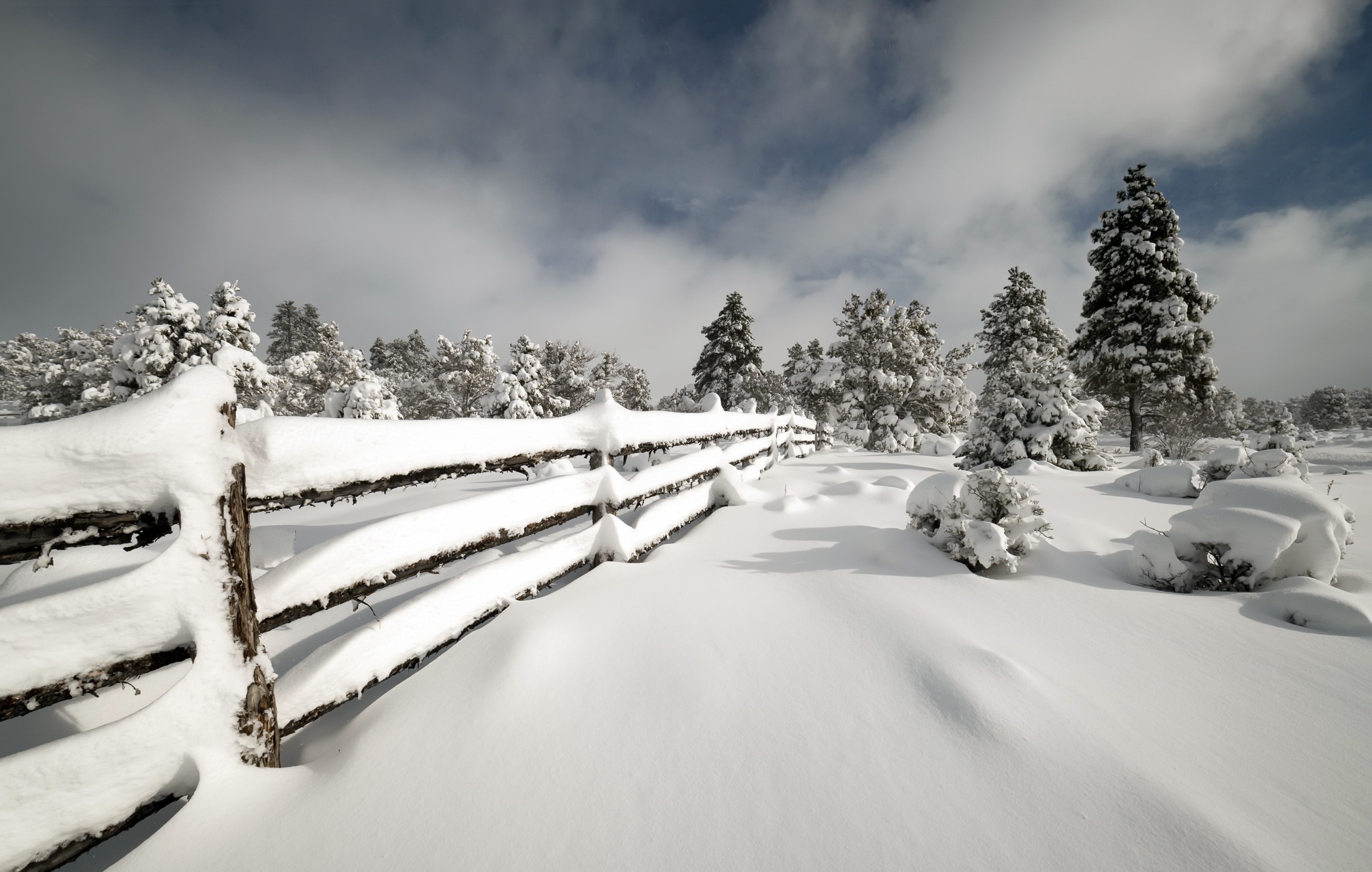 Download mobile wallpaper Winter, Nature, Snow, Tree, Fence, Photography for free.