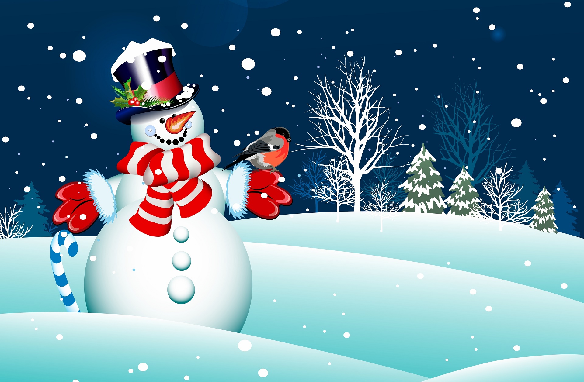 Скачать картинку Снеговик, Художественные в телефон бесплатно.