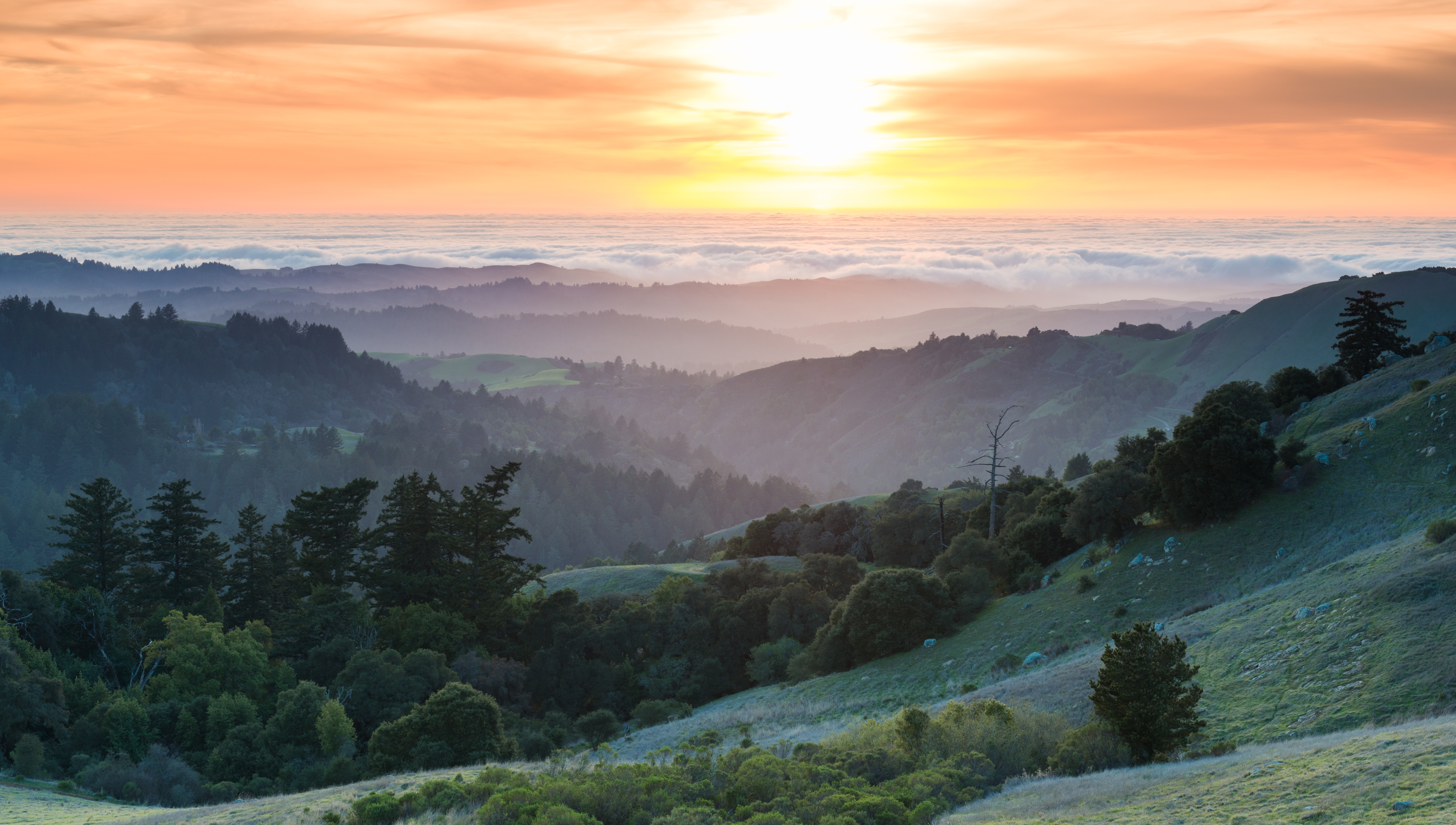 Descarga gratis la imagen Paisaje, Tierra/naturaleza en el escritorio de tu PC