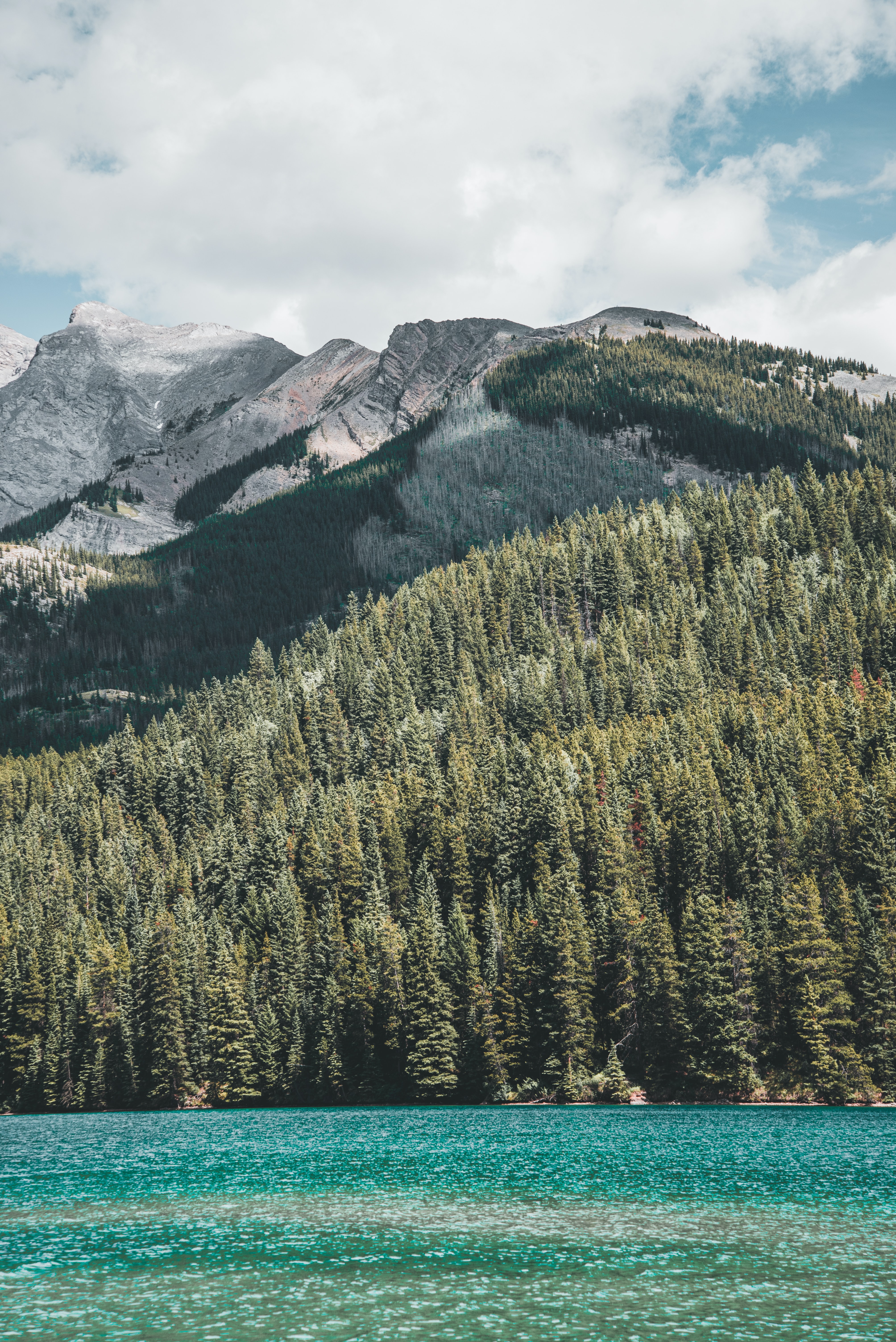 無料モバイル壁紙自然, 木, 山脈, 湖, 水, 森林, 森をダウンロードします。