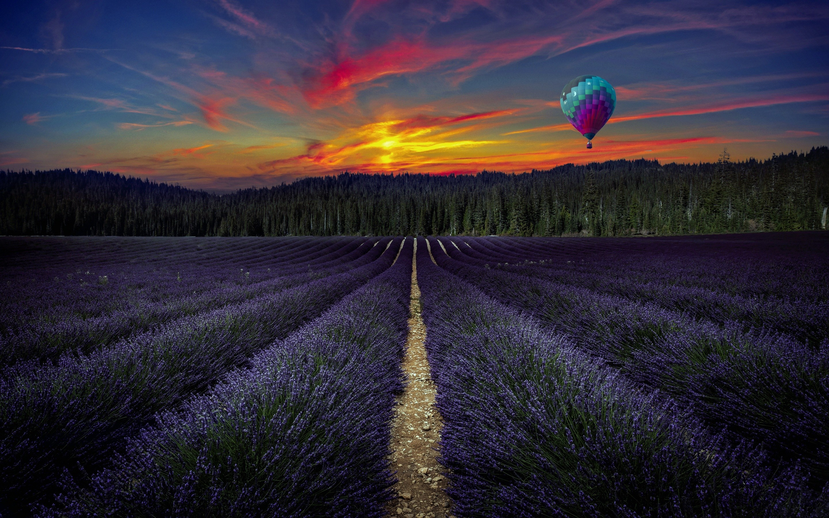 Free download wallpaper Flowers, Sunset, Earth, Field, Lavender, Purple Flower, Hot Air Balloon on your PC desktop