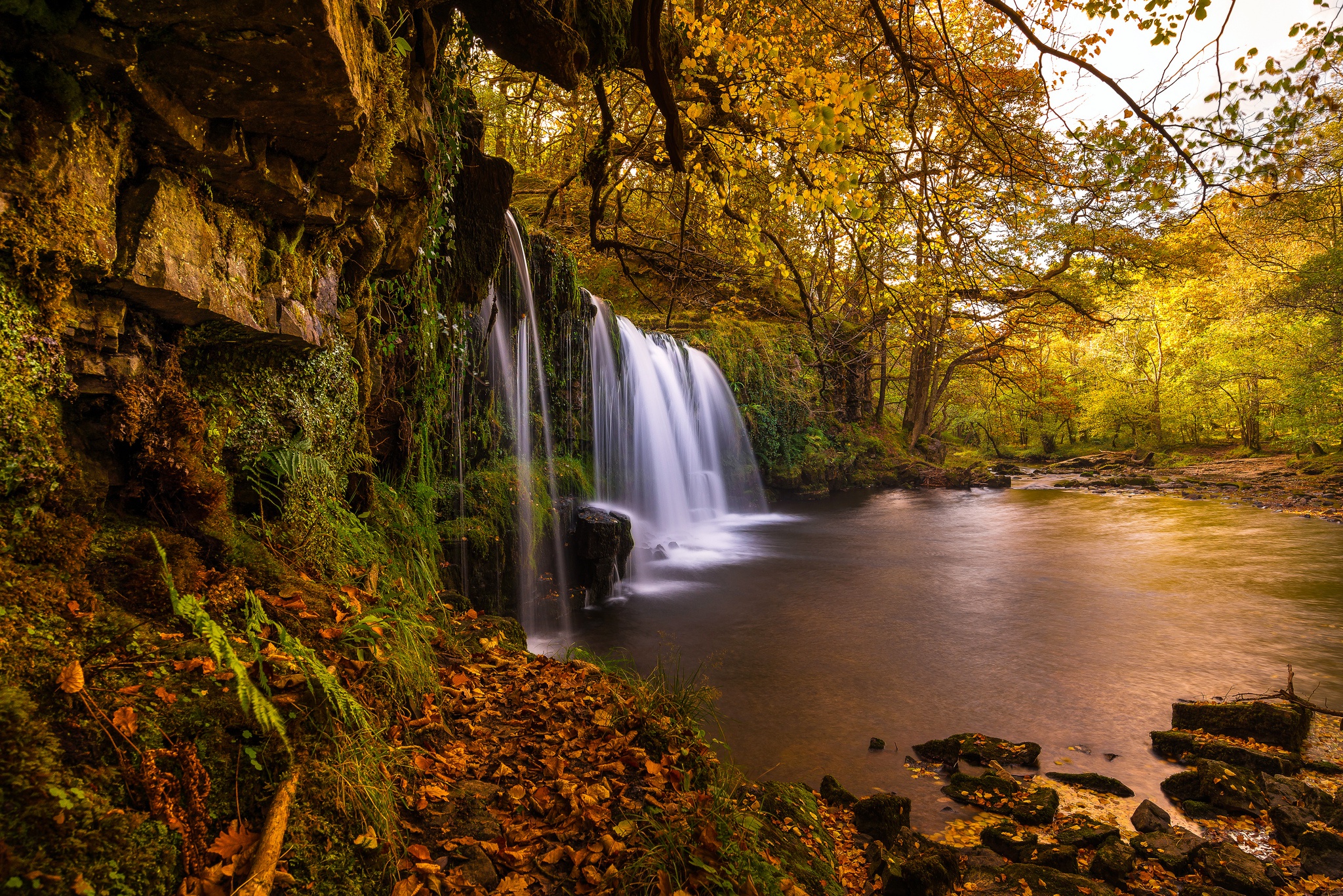 Download mobile wallpaper Nature, Waterfalls, Waterfall, Forest, Tree, Fall, Earth for free.