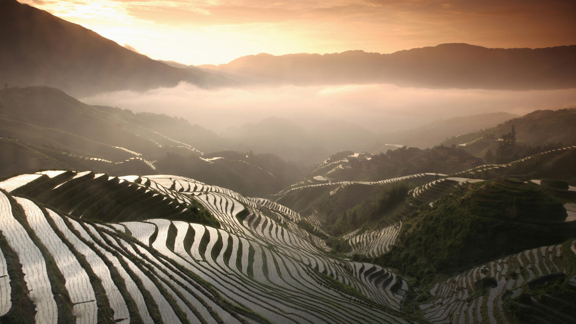 man made, rice terrace, earth, landscape, rice