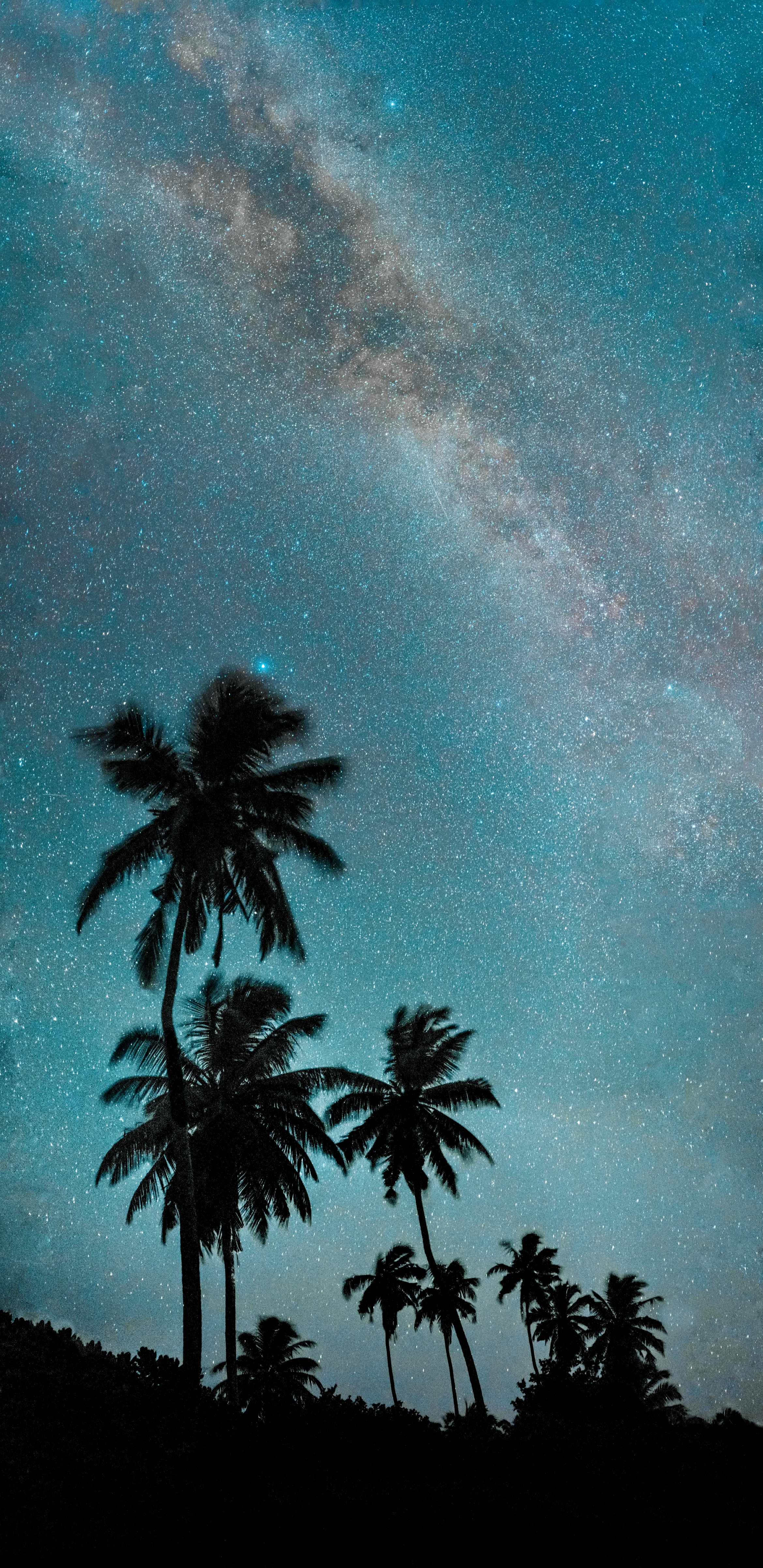 Free download wallpaper Starry Sky, Night, Palms, Dark, Milky Way on your PC desktop