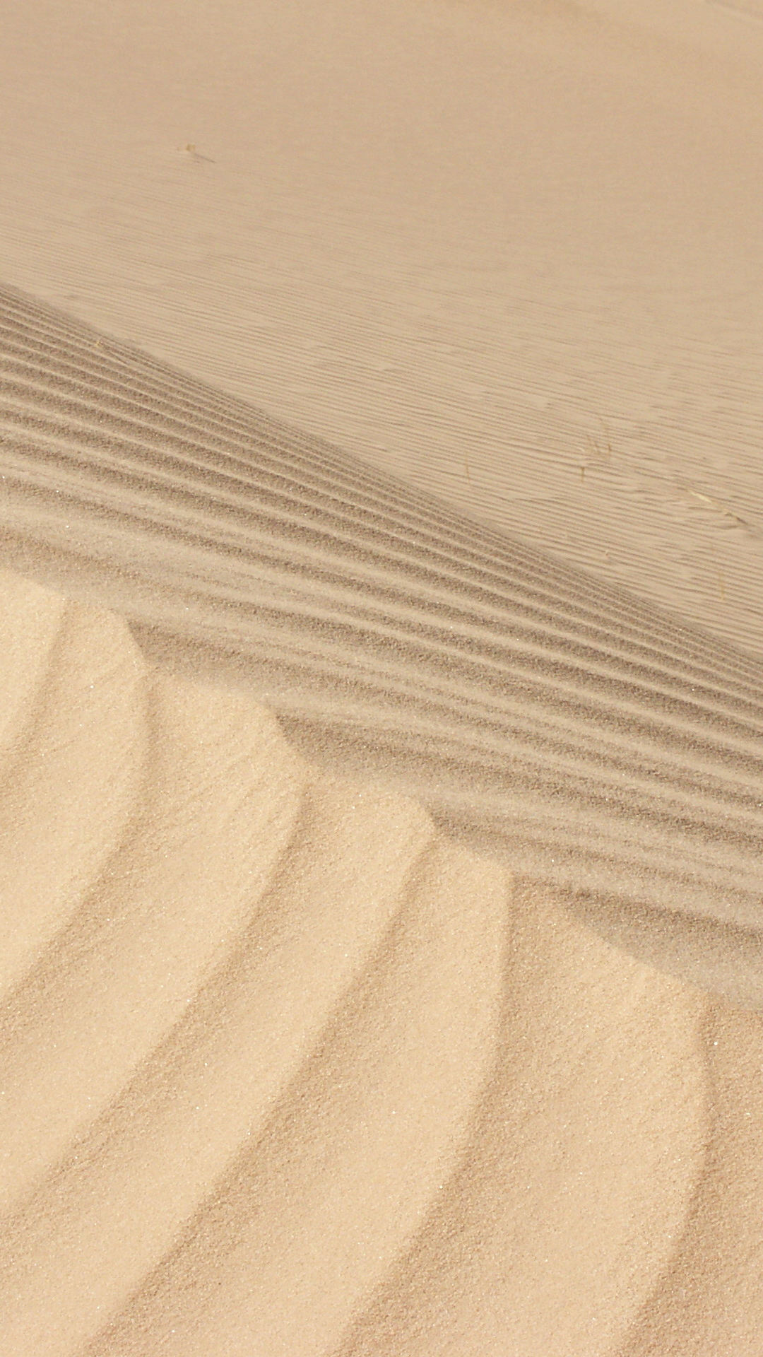 Скачать картинку Песок, Пустыня, Дюна, Сахара, Африка, Алжир, Земля/природа в телефон бесплатно.