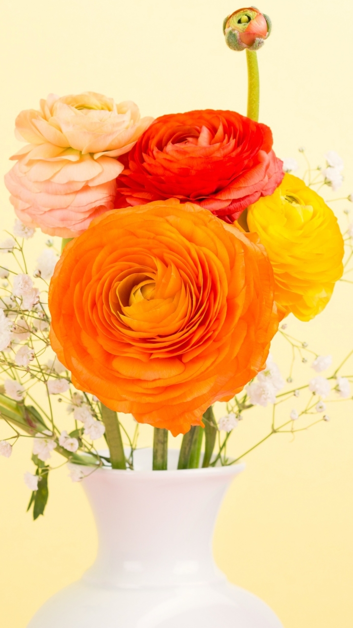 man made, flower, buttercup, orange flower, colorful, vase