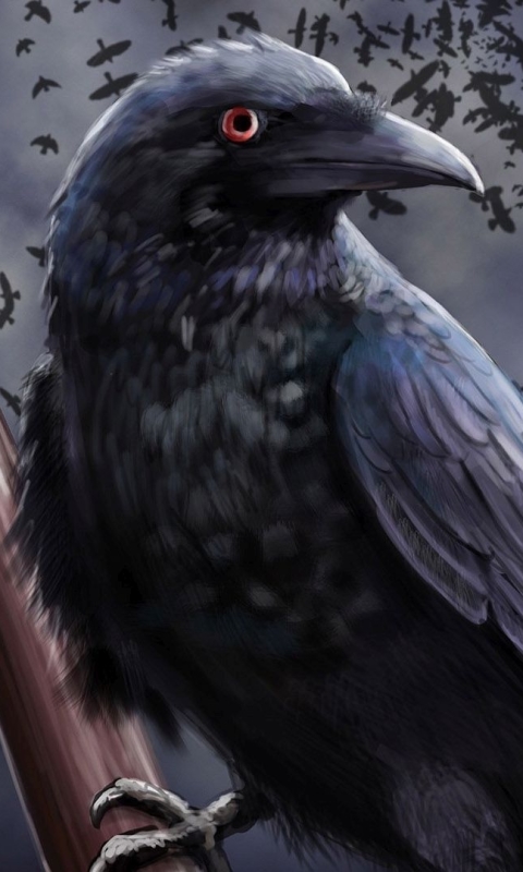 Download mobile wallpaper Birds, Bird, Close Up, Animal, Raven, Sword for free.