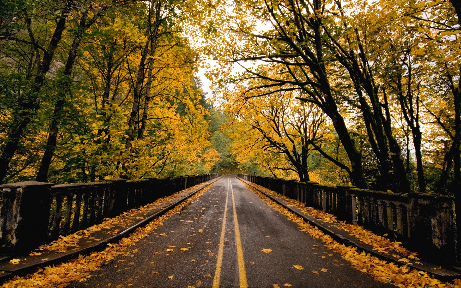 Free download wallpaper Landscape, Autumn, Roads on your PC desktop