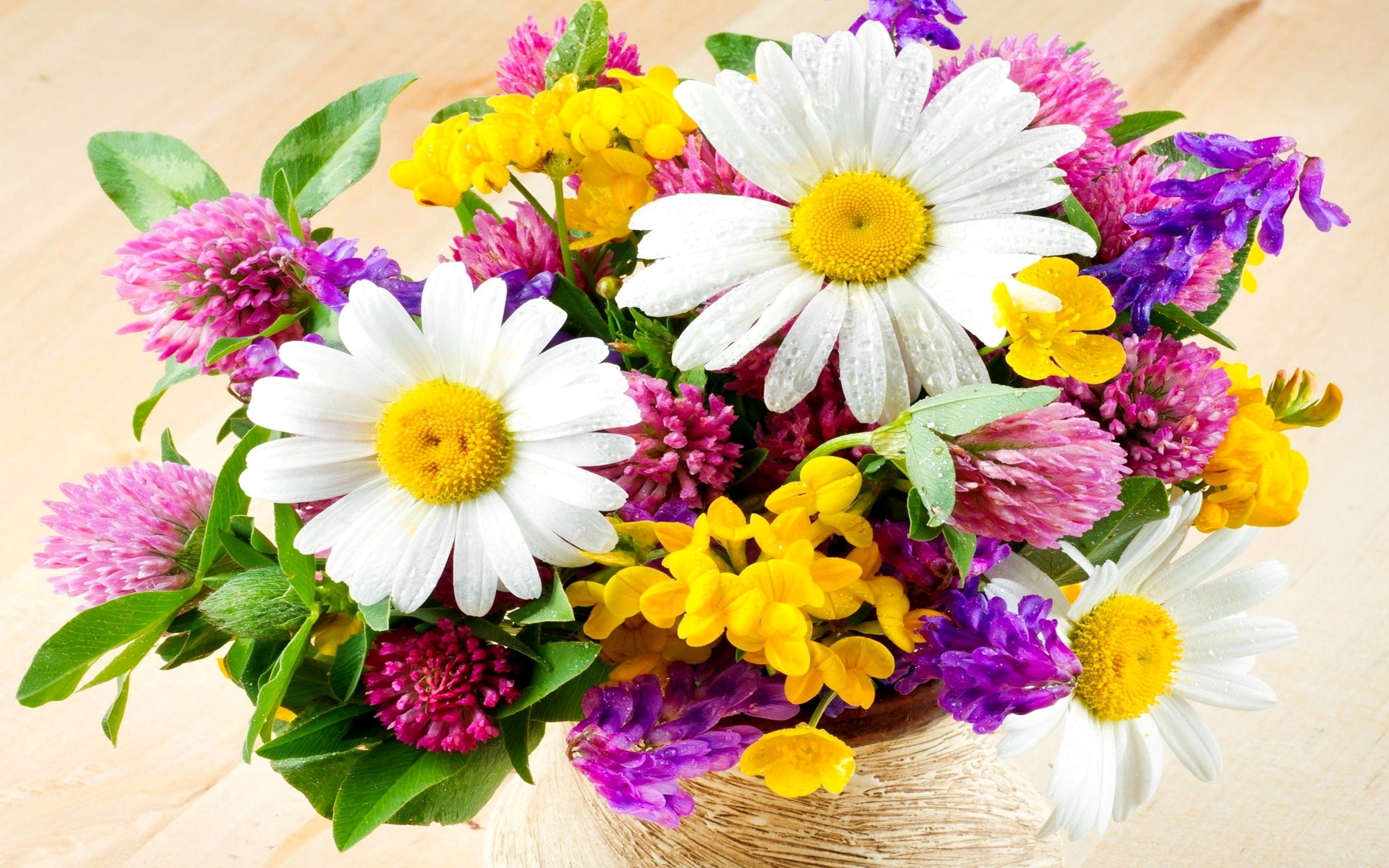 Free download wallpaper Flowers, Flower, Bouquet, Earth, Colorful on your PC desktop