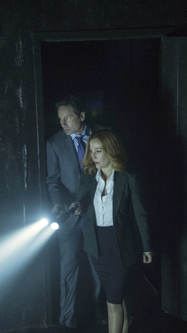 Download mobile wallpaper David Duchovny, Tv Show, The X Files, Gillian Anderson, Dana Scully, Fox Mulder for free.