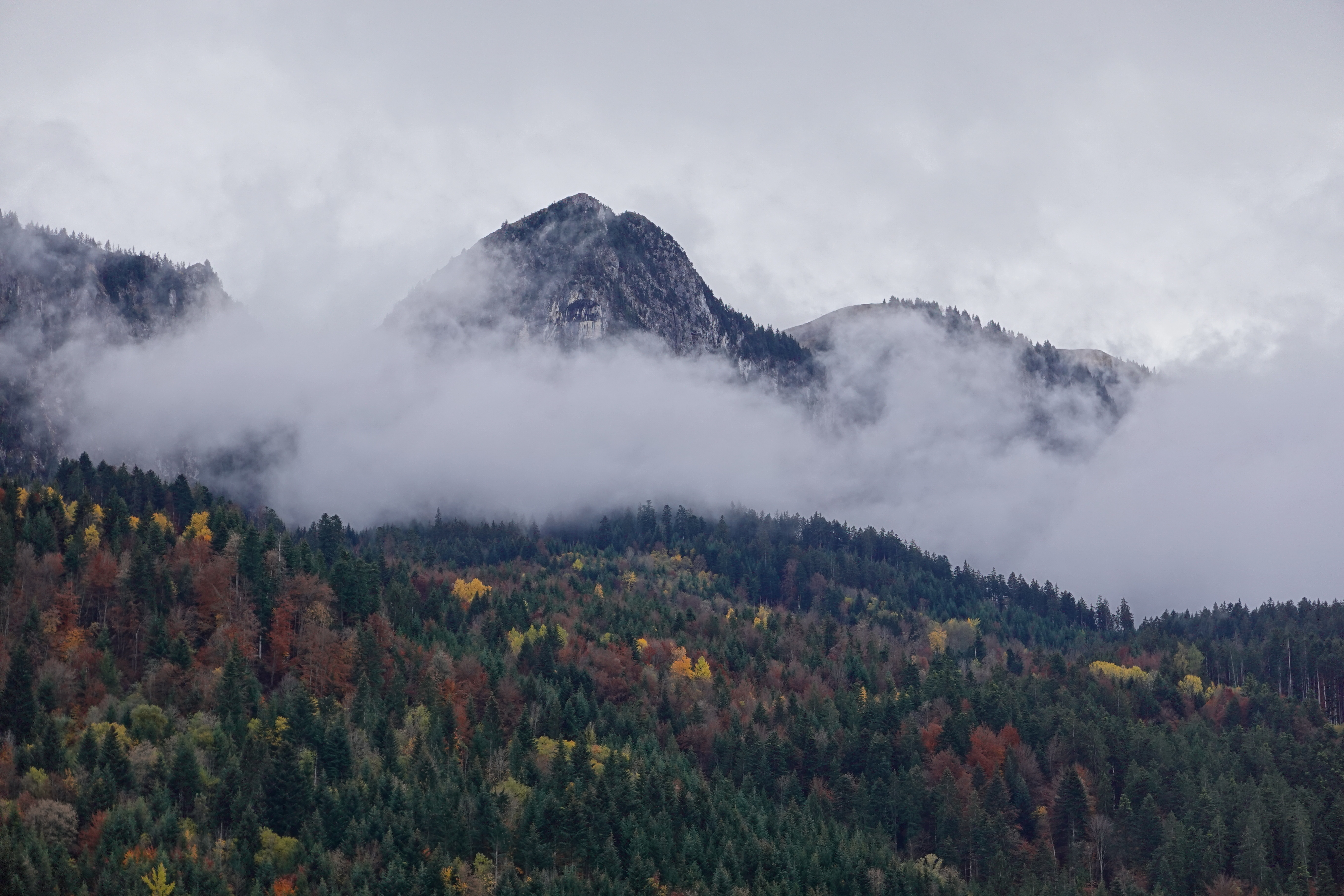 Handy-Wallpaper Natur, Berg, Clouds, Wald, Landschaft kostenlos herunterladen.