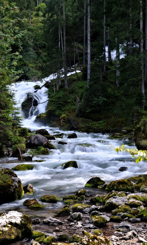 Скачать картинку Водопады, Водопад, Лес, Ручей, Земля/природа в телефон бесплатно.