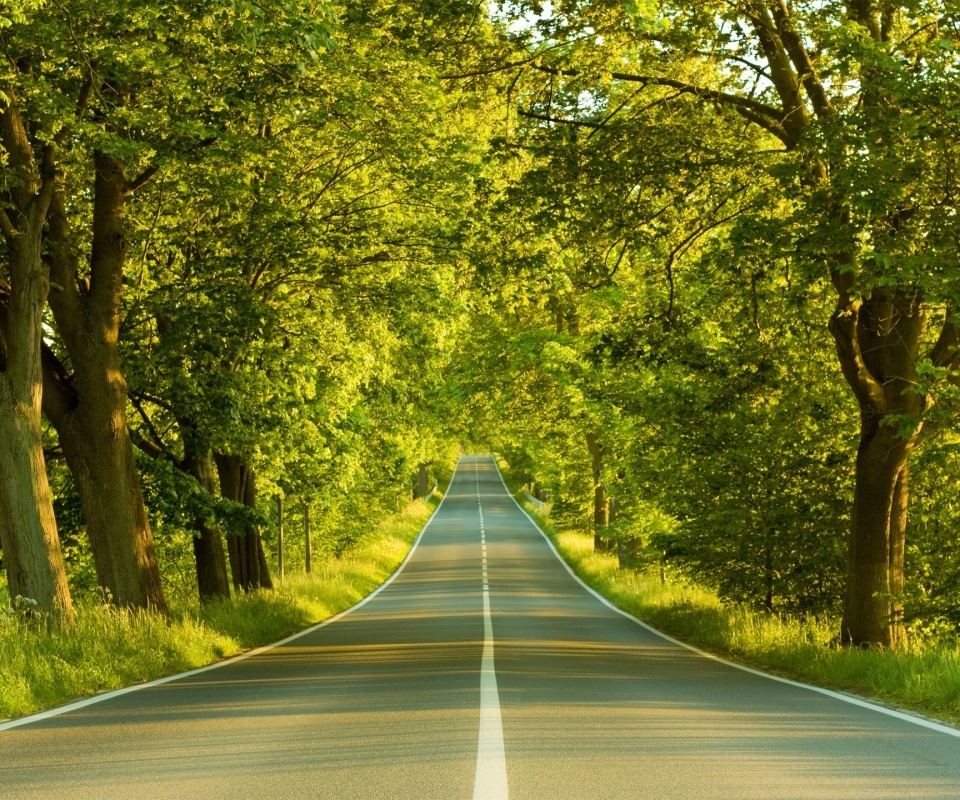 Download mobile wallpaper Roads, Landscape, Trees for free.