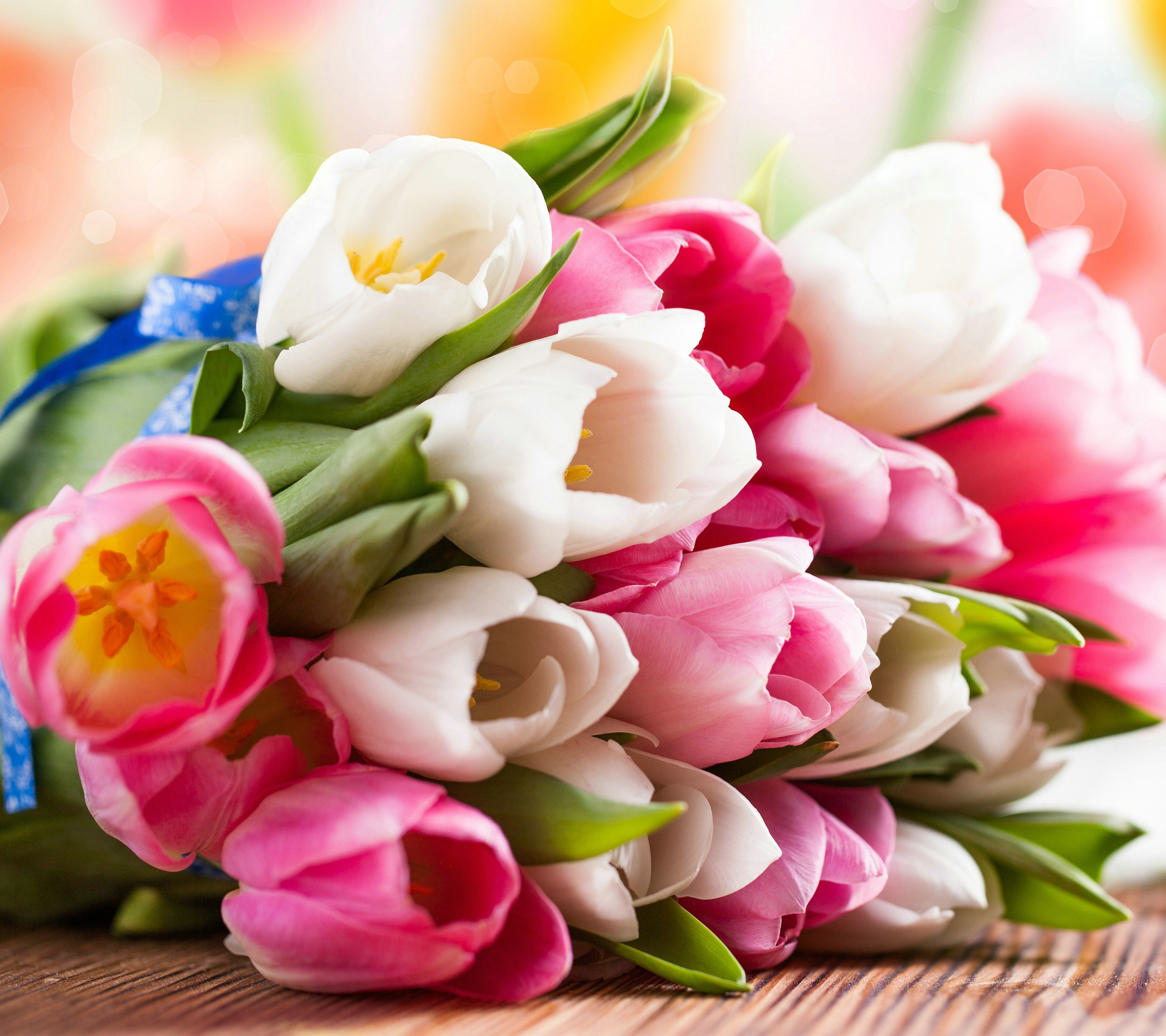 Download mobile wallpaper Flowers, Flower, Close Up, Bouquet, Earth, Tulip, White Flower, Pink Flower for free.