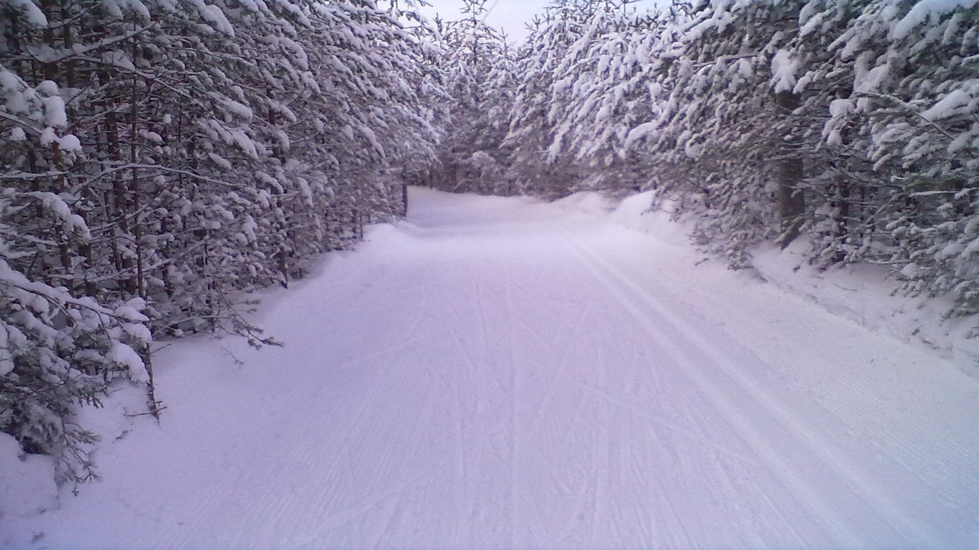 Descarga gratuita de fondo de pantalla para móvil de Invierno, Nieve, Camino, Bosque, Árbol, Carretera, Tierra/naturaleza.