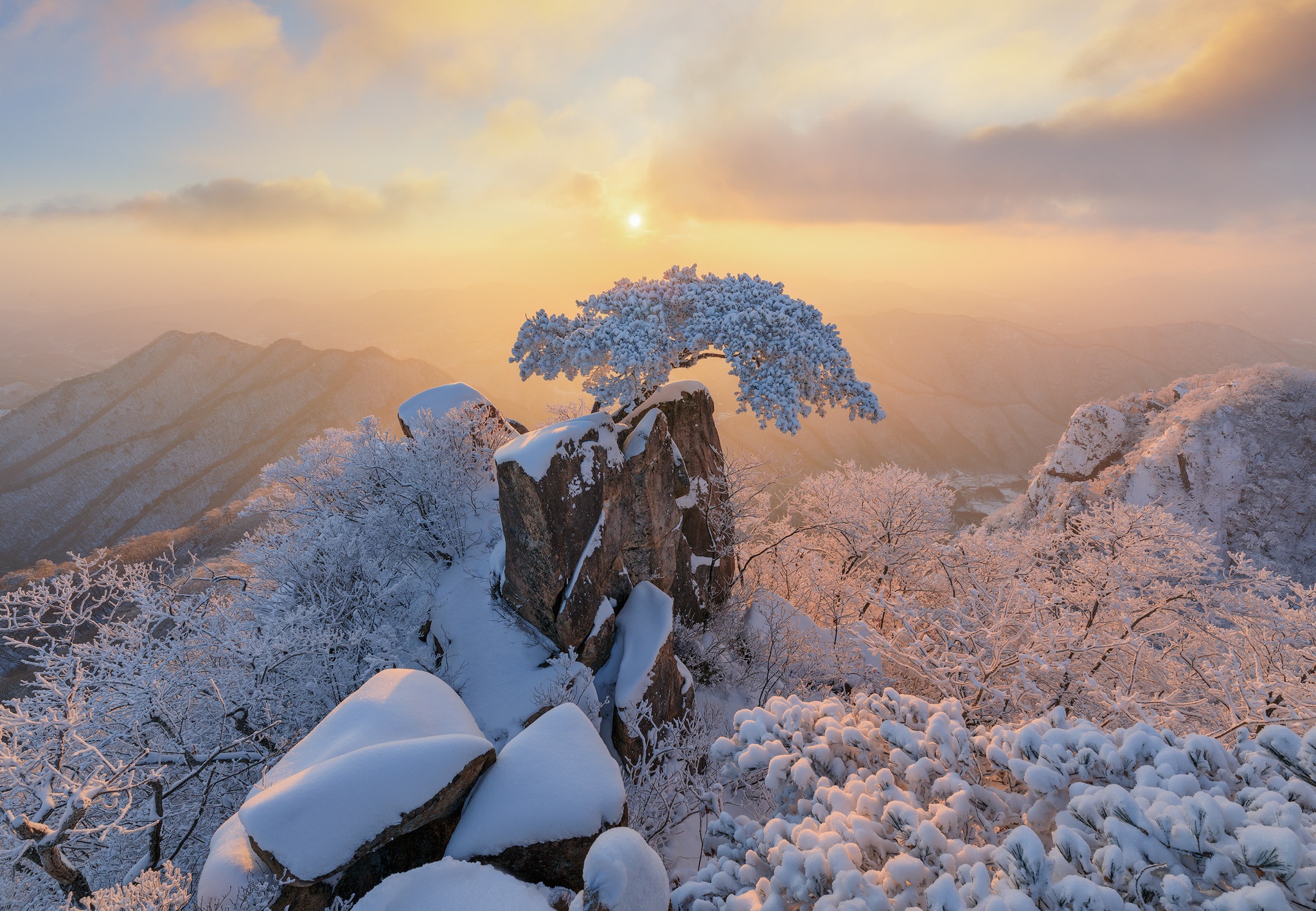 無料モバイル壁紙冬, 木, 雪, 山, 地球をダウンロードします。