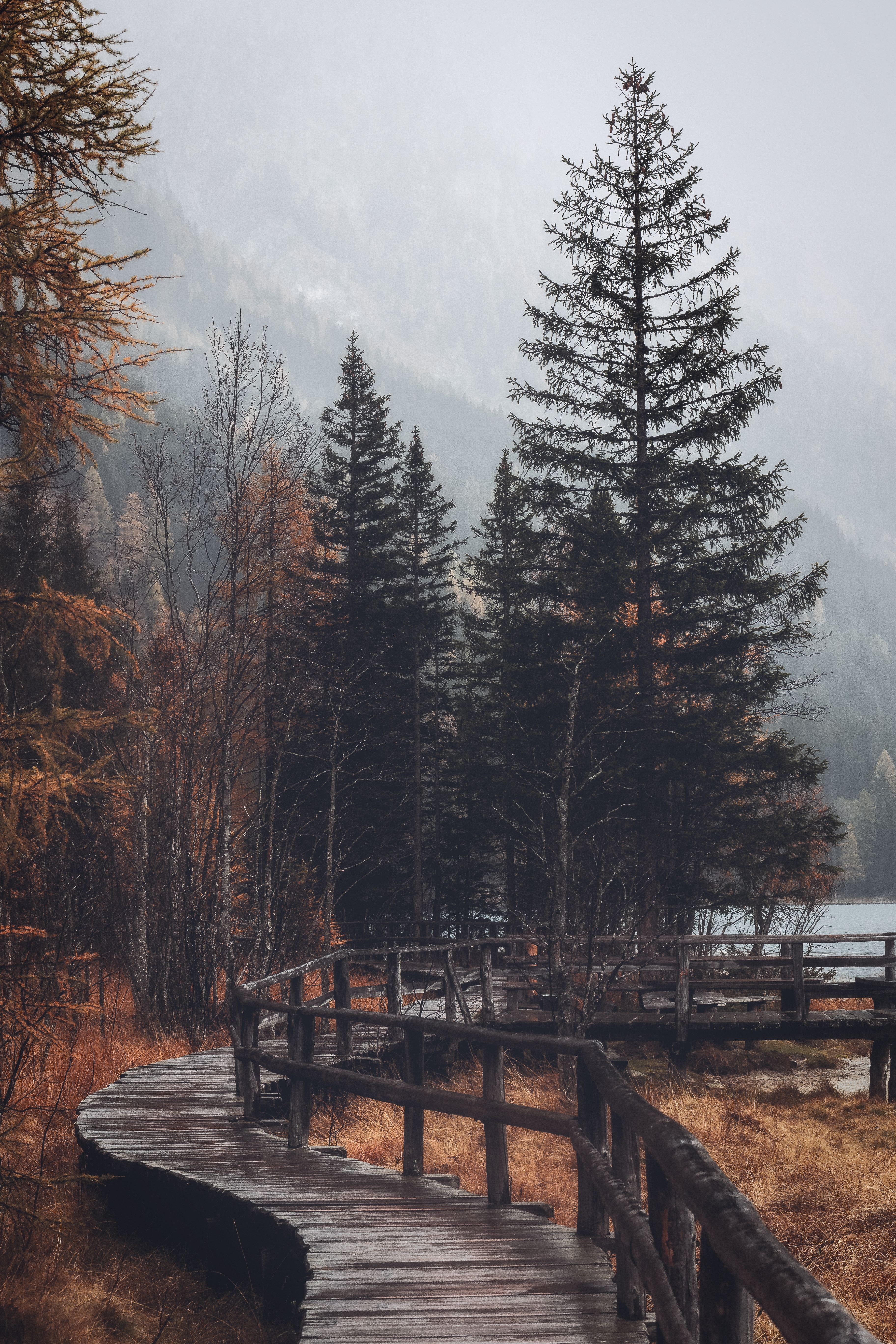 Download mobile wallpaper Autumn, Bridge, Trees, Forest, Nature for free.