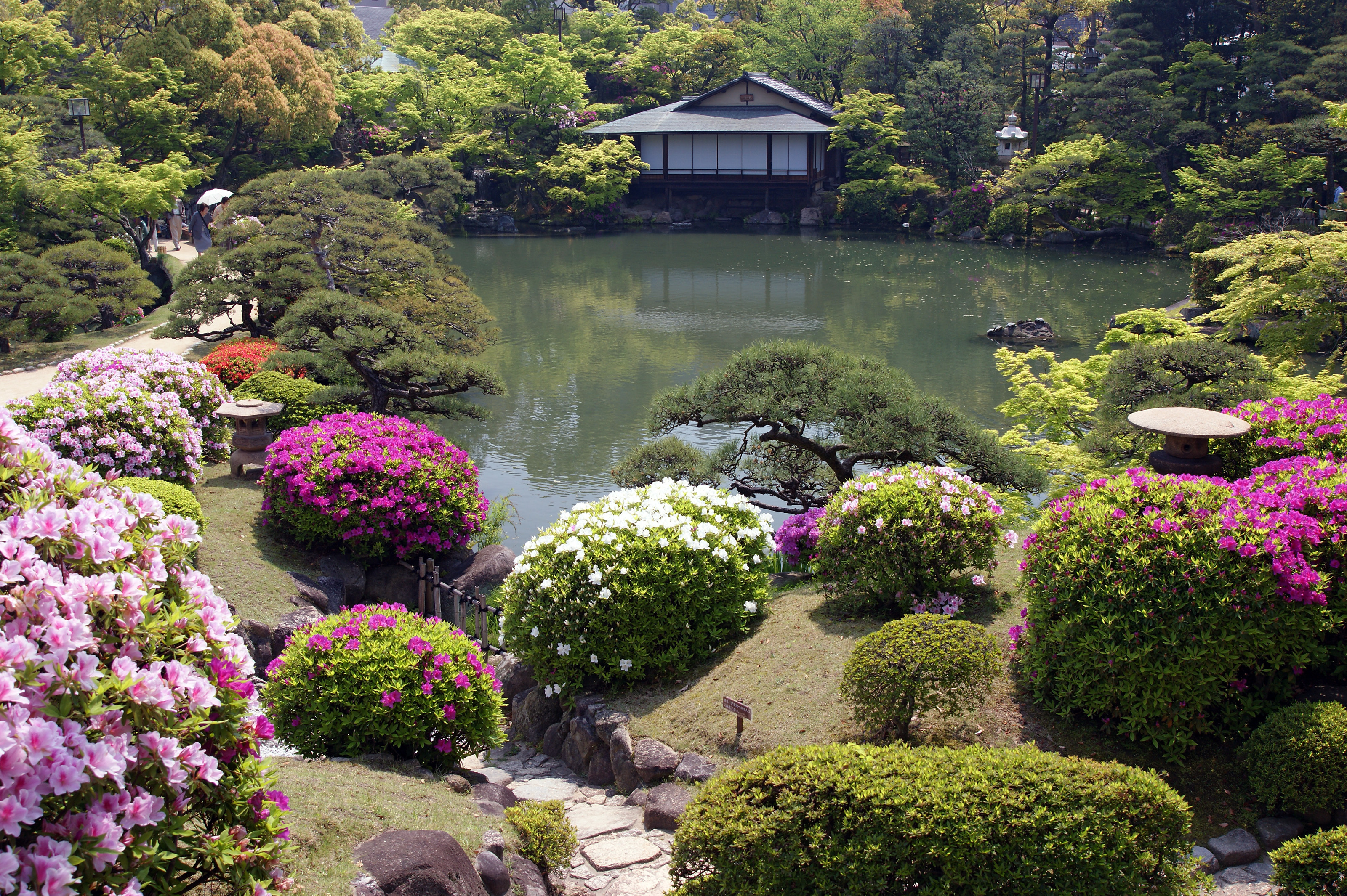 PCデスクトップに公園, 写真撮影画像を無料でダウンロード