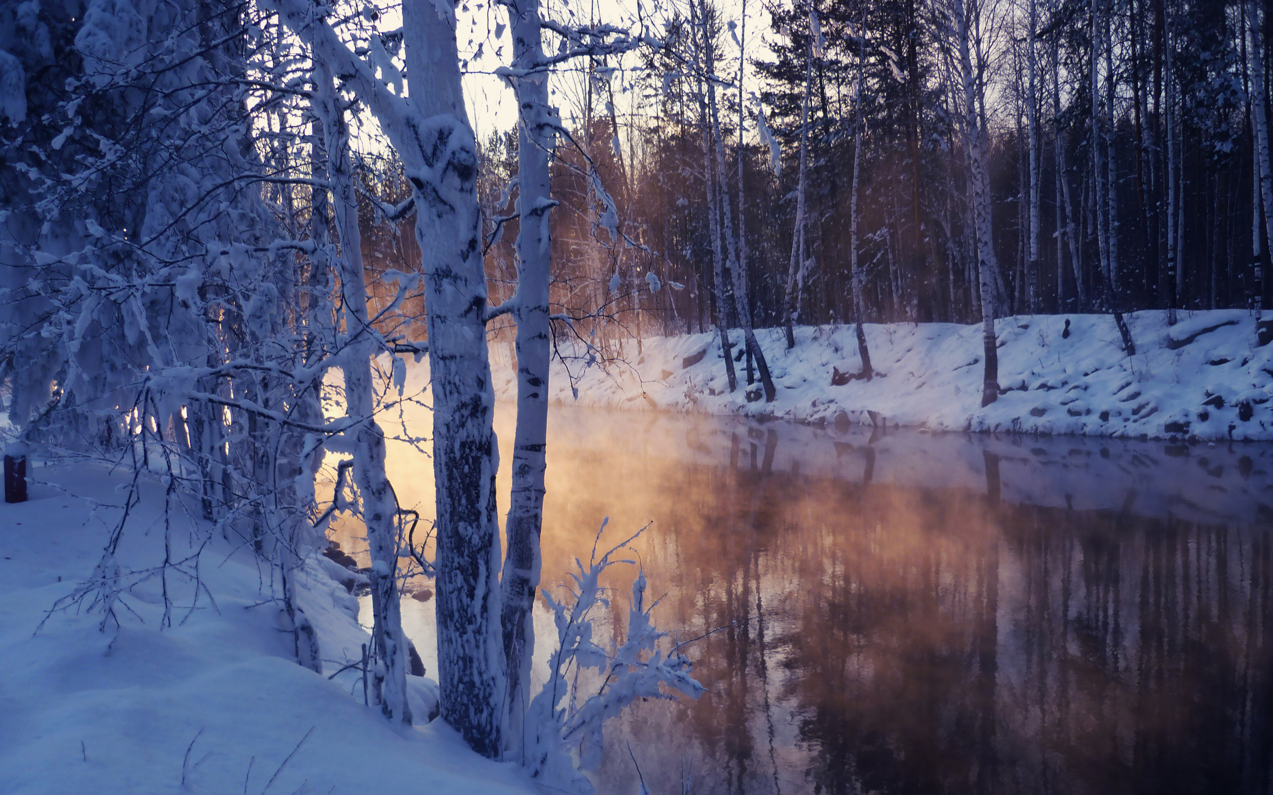 Téléchargez gratuitement l'image Hiver, Terre/nature sur le bureau de votre PC