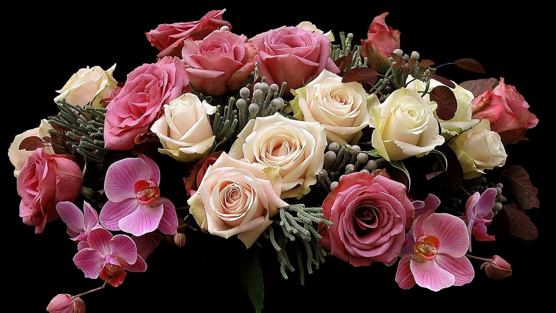 Handy-Wallpaper Blumen, Blume, Rose, Orchidee, Weiße Blume, Erde/natur, Pinke Blume kostenlos herunterladen.