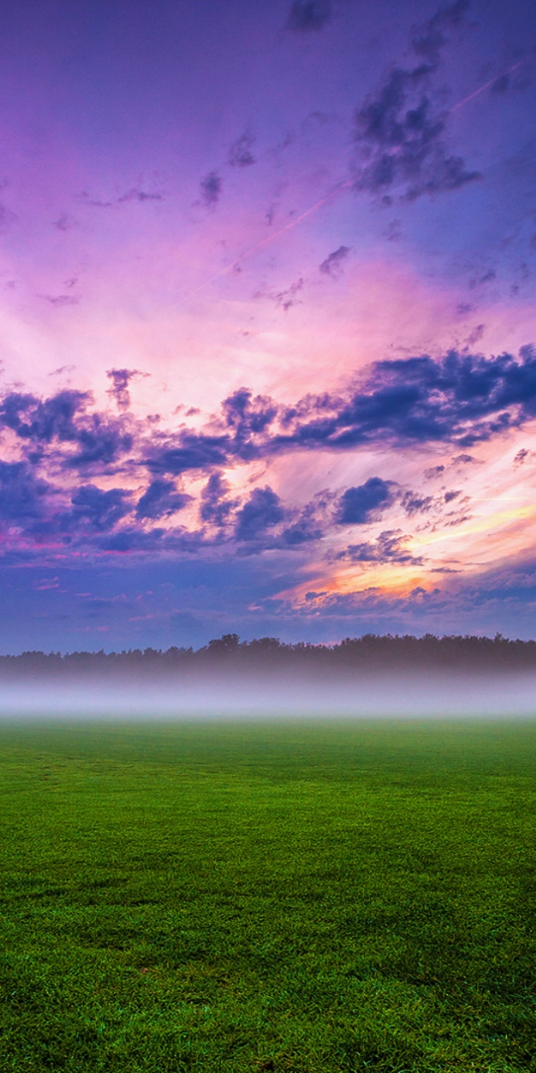 Descarga gratuita de fondo de pantalla para móvil de Paisaje, Naturaleza, Hierba, Amanecer, Niebla, Campo, Césped, Nube, Tierra/naturaleza.