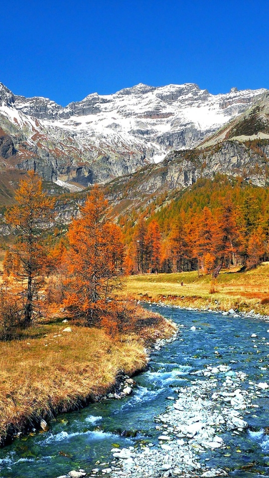 Baixar papel de parede para celular de Rio, Árvore, Terra/natureza gratuito.