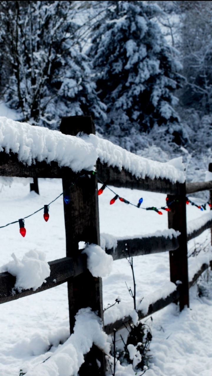 Download mobile wallpaper Winter, Snow, Christmas, Holiday, Fence, Christmas Lights for free.