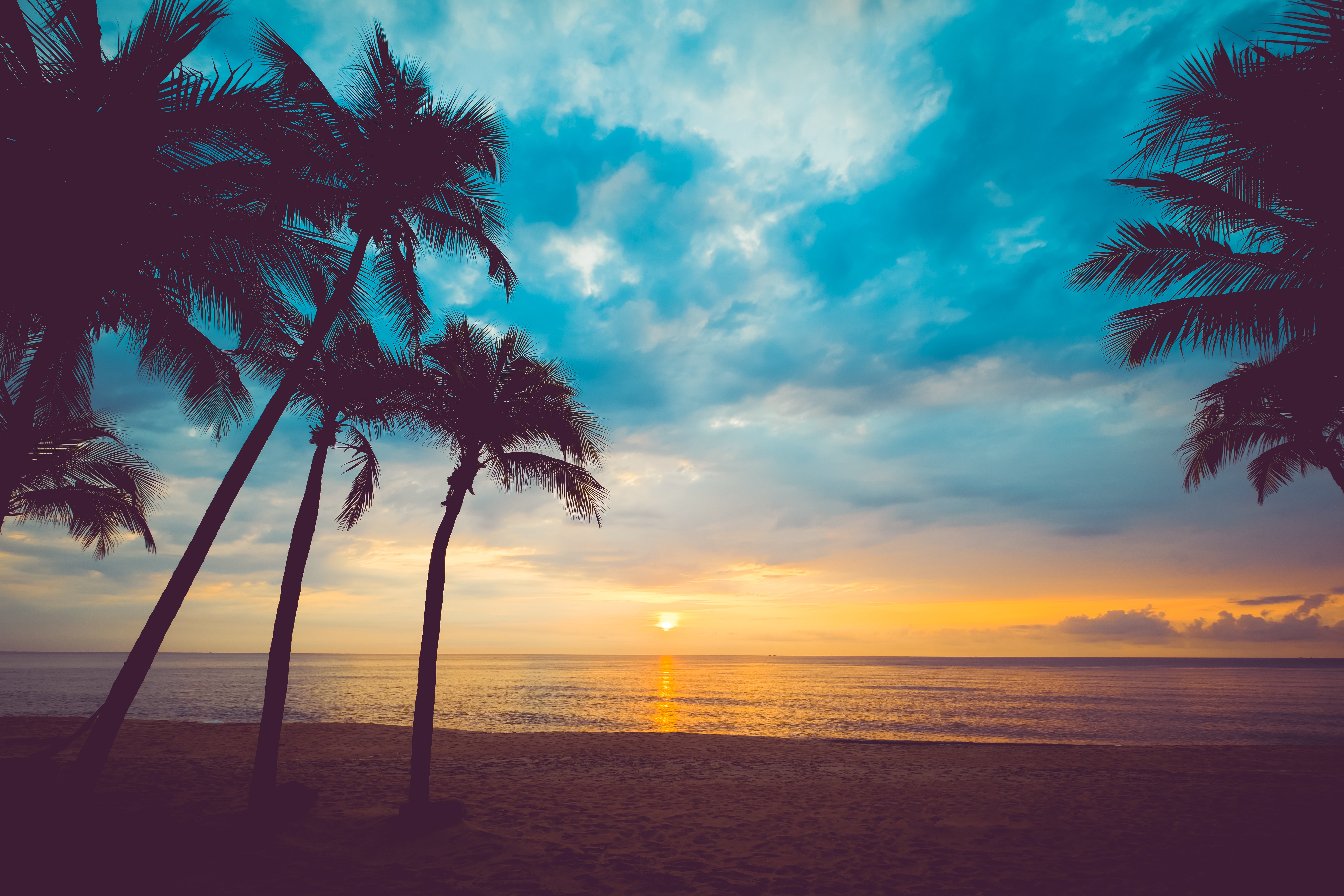 Laden Sie das Natur, Horizont, Ozean, Palme, Wolke, Erde/natur-Bild kostenlos auf Ihren PC-Desktop herunter