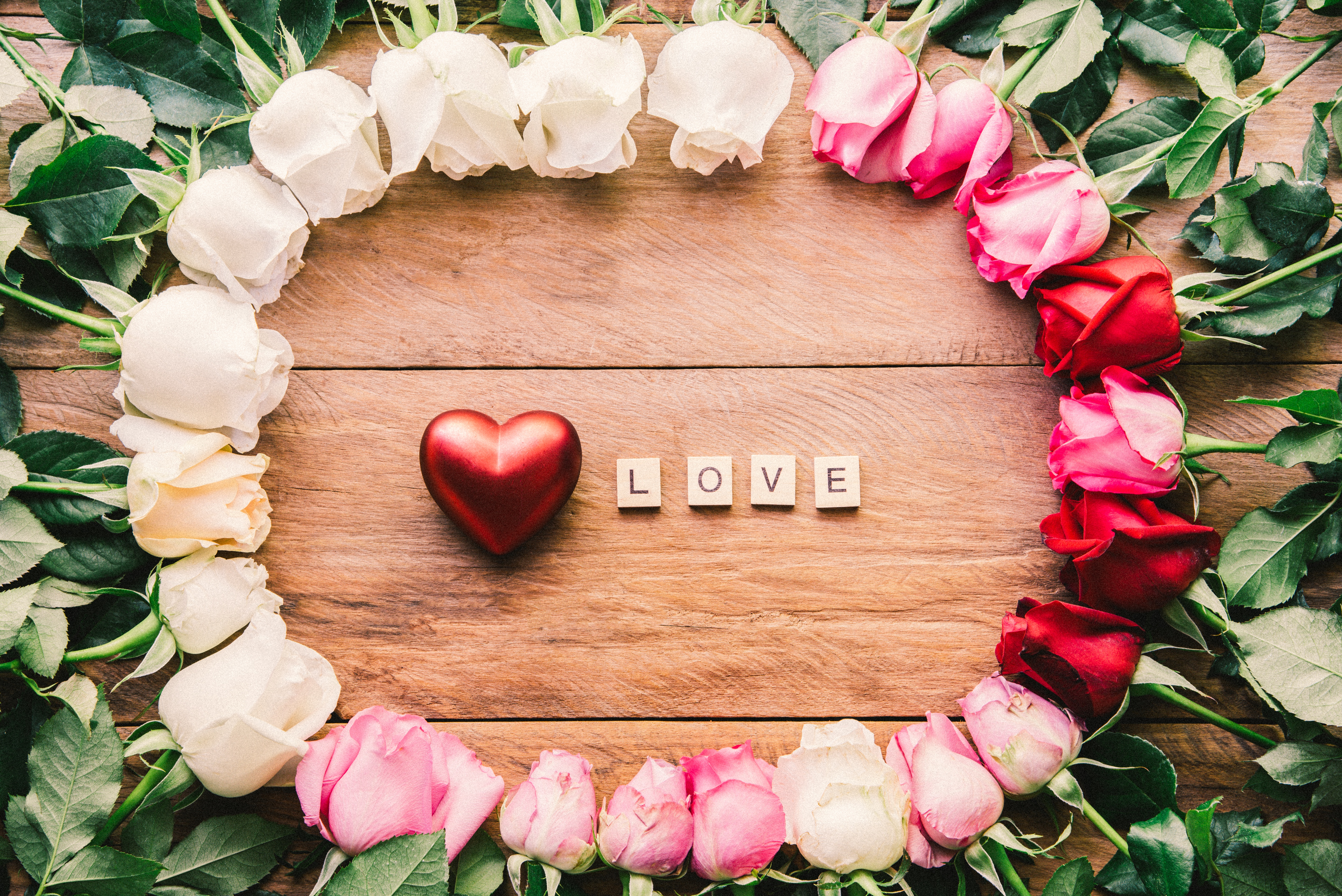 Free download wallpaper Love, Flower, Rose, Heart, Photography, White Flower, Red Flower, Pink Flower on your PC desktop