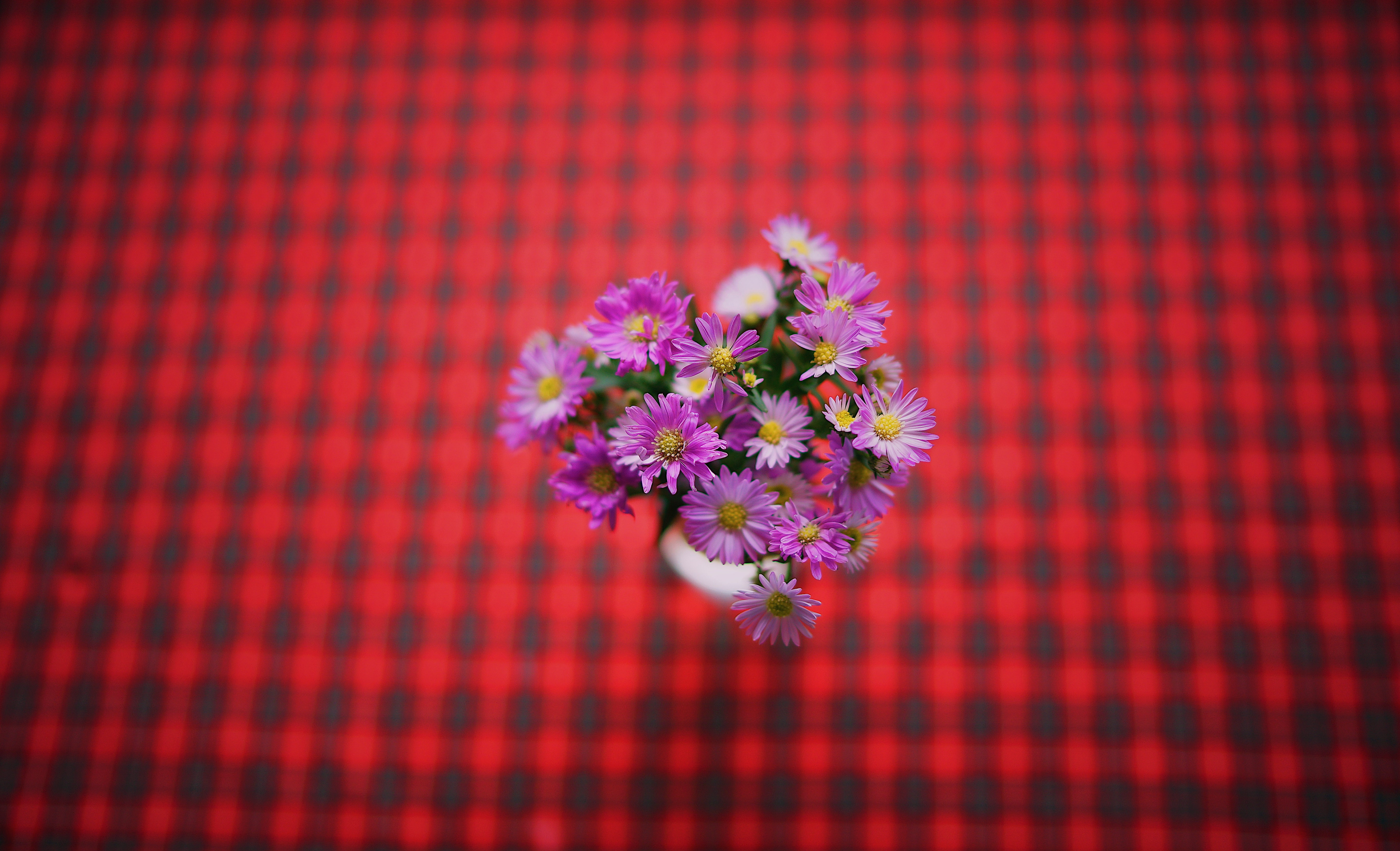 Download mobile wallpaper Bouquet, Flowers, Violet, Purple for free.