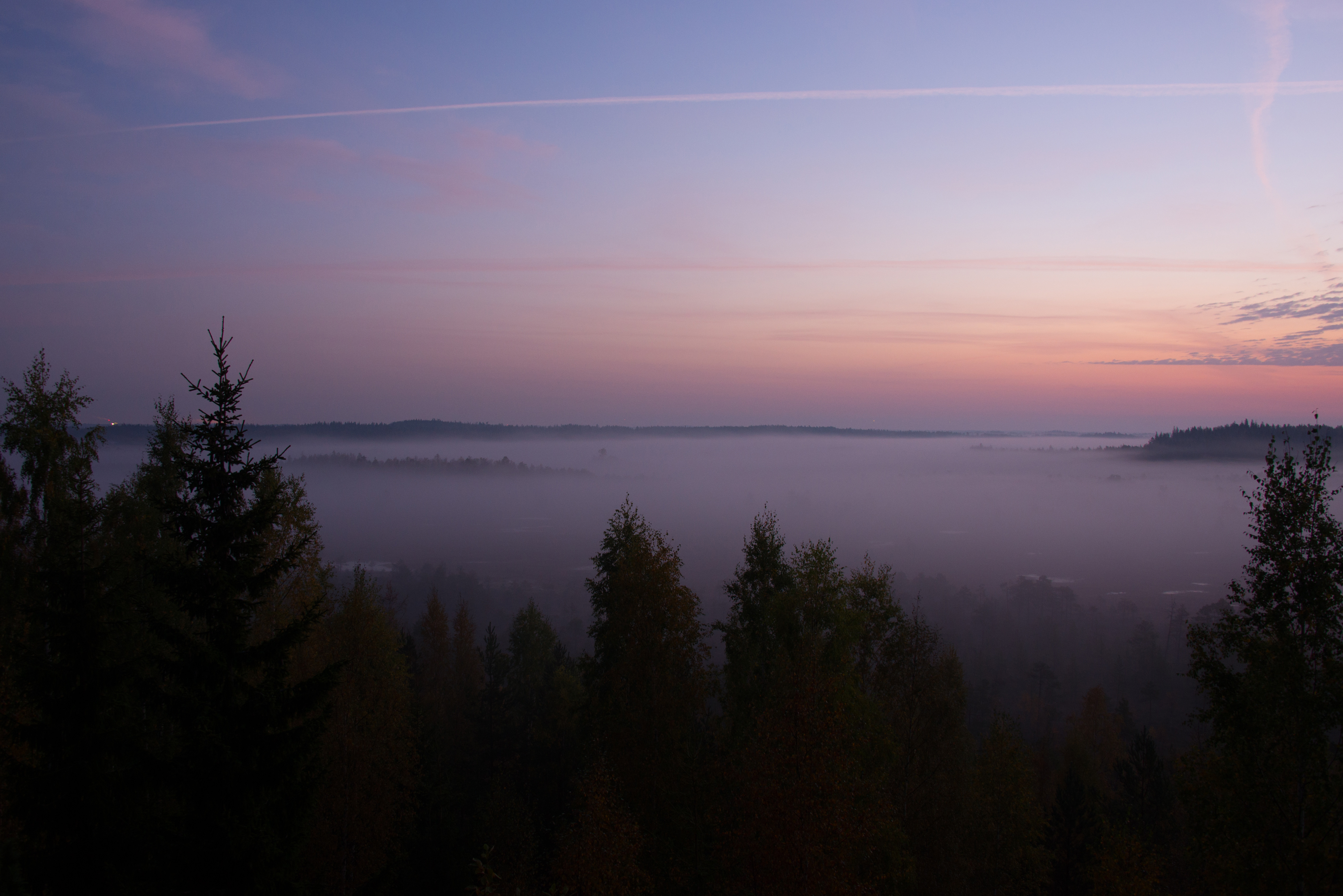Laden Sie das Natur, Bäume, Nebel, Fichte, Fir, Dämmerung, Twilight-Bild kostenlos auf Ihren PC-Desktop herunter