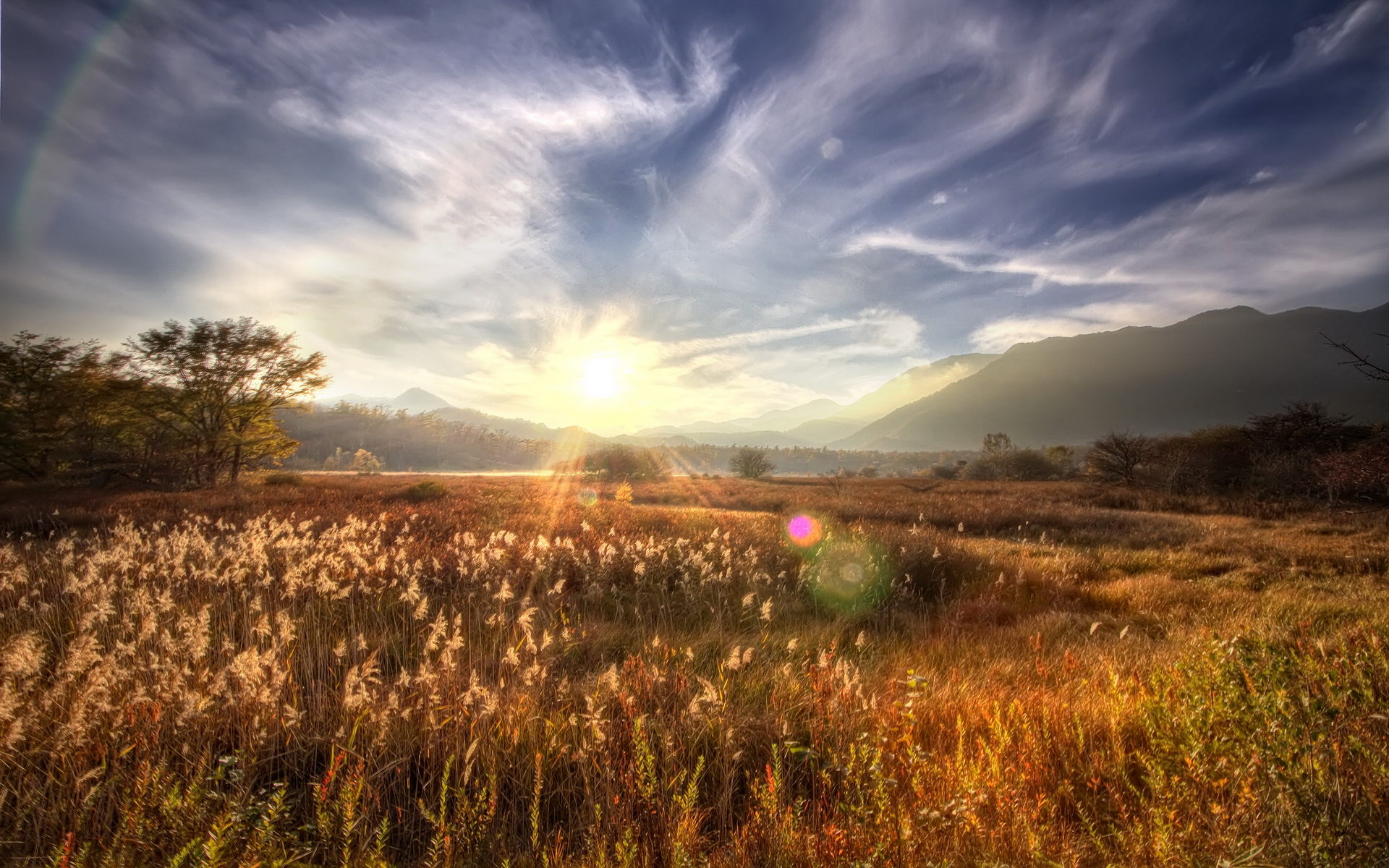 Descarga gratis la imagen Rayo De Sol, Tierra/naturaleza en el escritorio de tu PC