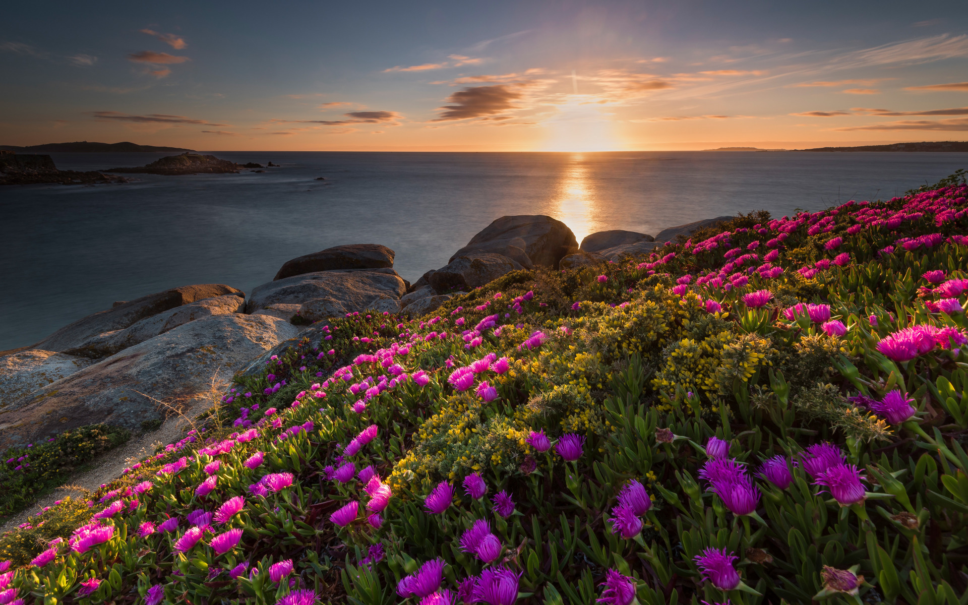 Free download wallpaper Landscape, Flower, Coast, Ocean, Photography on your PC desktop